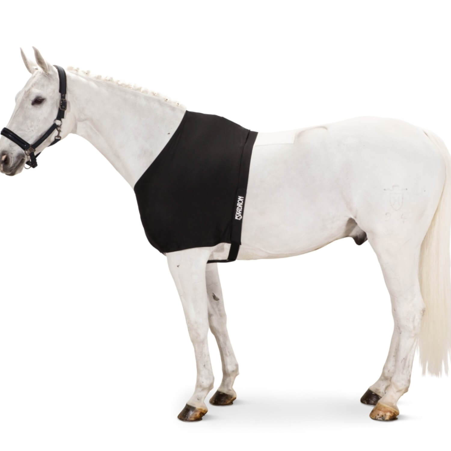 Eskadron Brustschutz DynAir Mesh