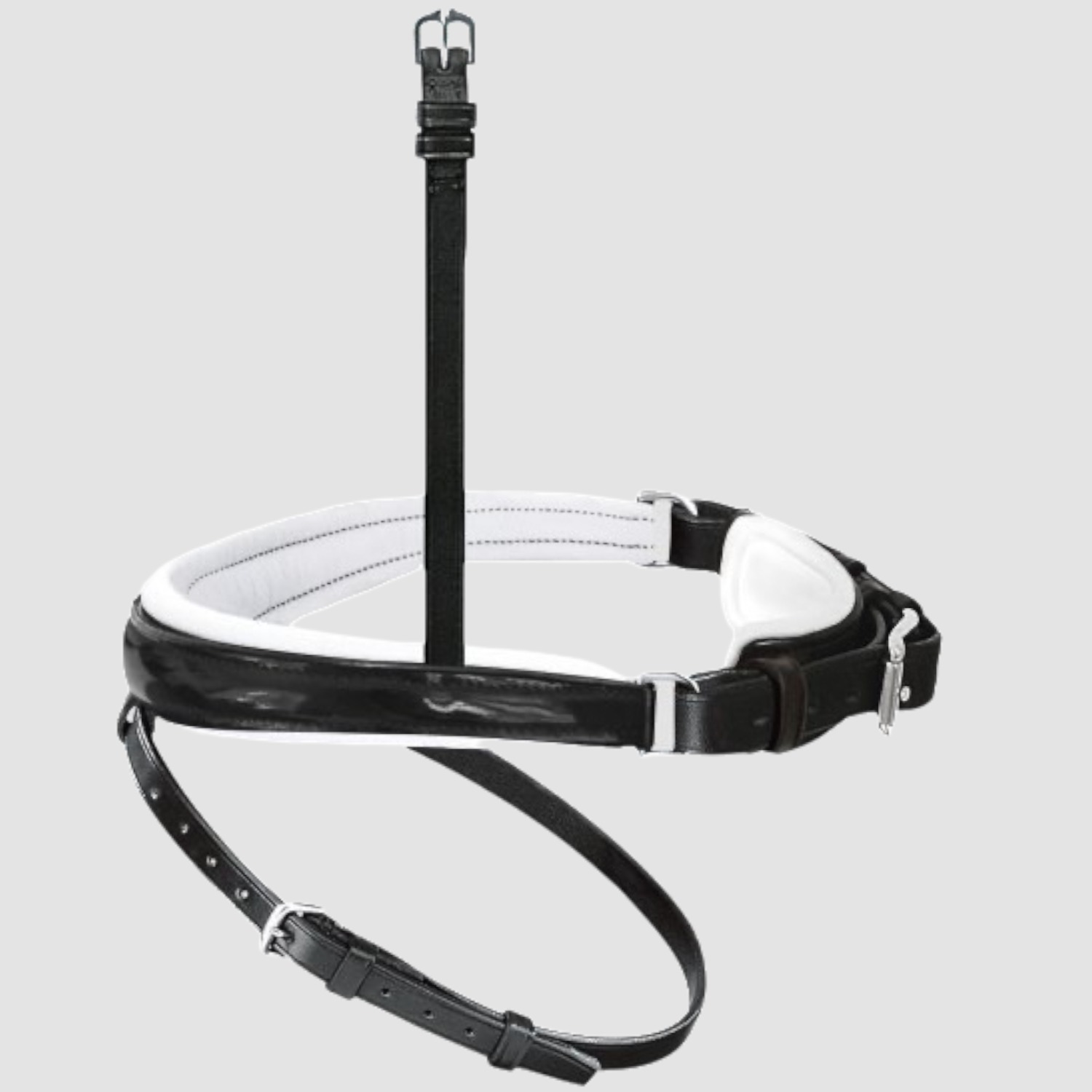 Passier Reithalfter Wechselnasenriemen alle Variationen