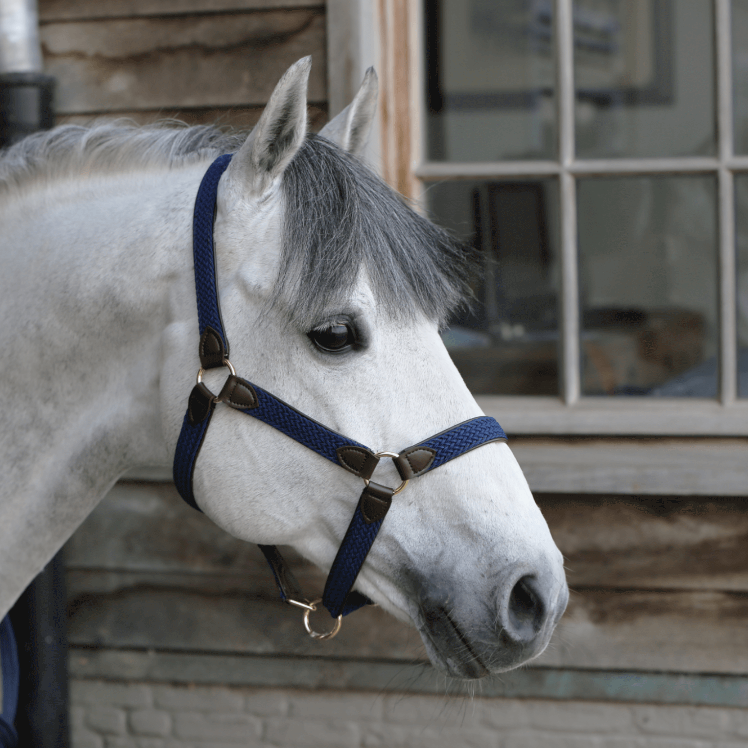 Kentucky Horsewear geflochtenes Nylonhalfter