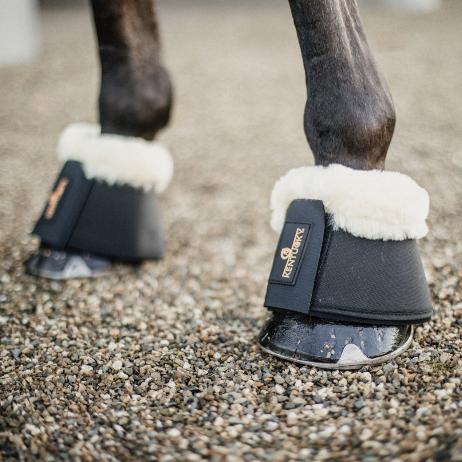 Kentucky Sprungglocken Lammfell Schwarz