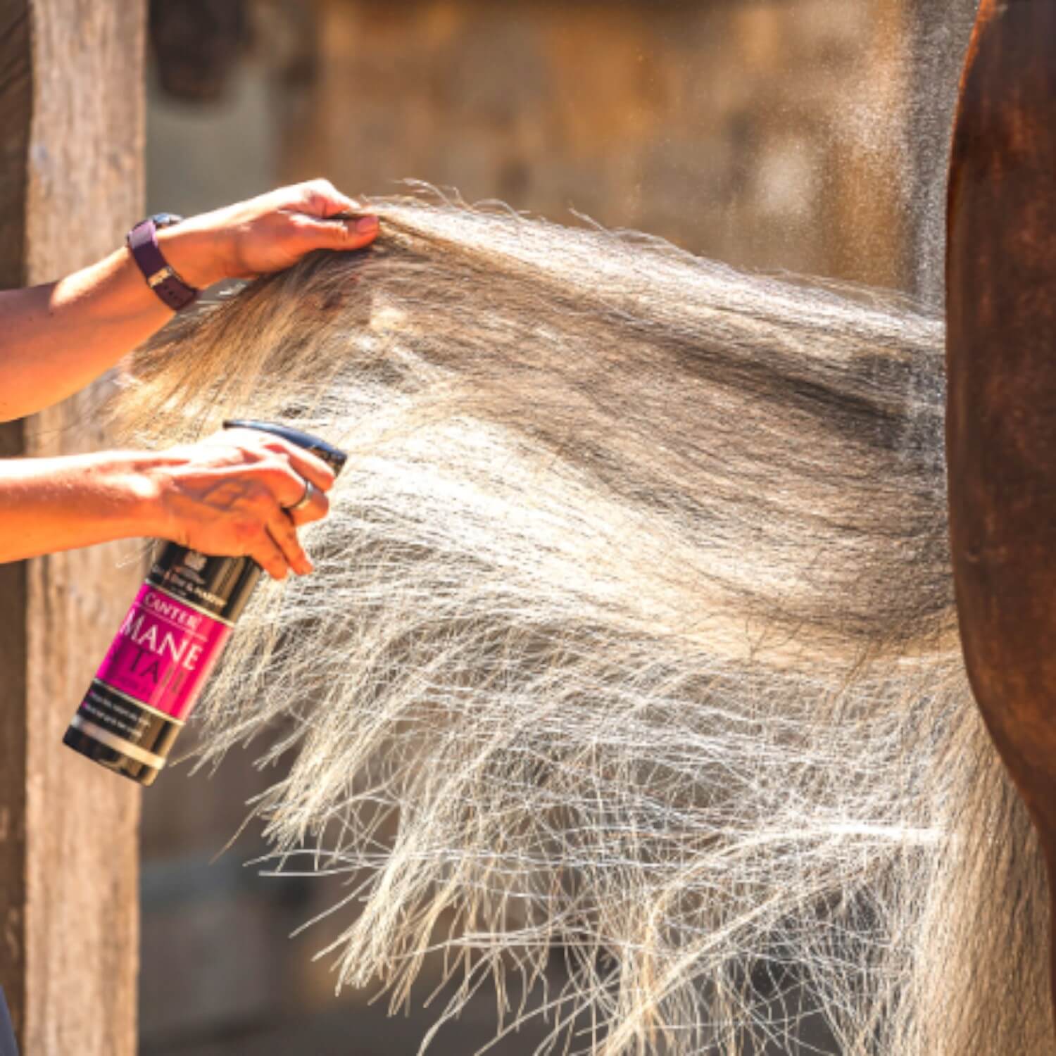 Carr & Day & Martin Canter Mähnen und Schweif Conditioner 500ml