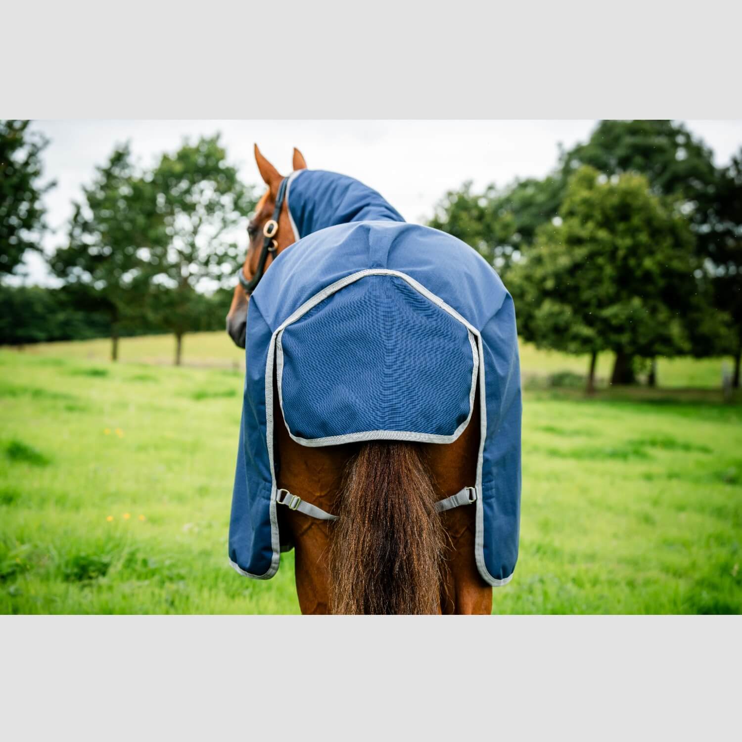 Horseware Amigo Ripstop 900D Turnout 0g Navy/Titanium/Grey