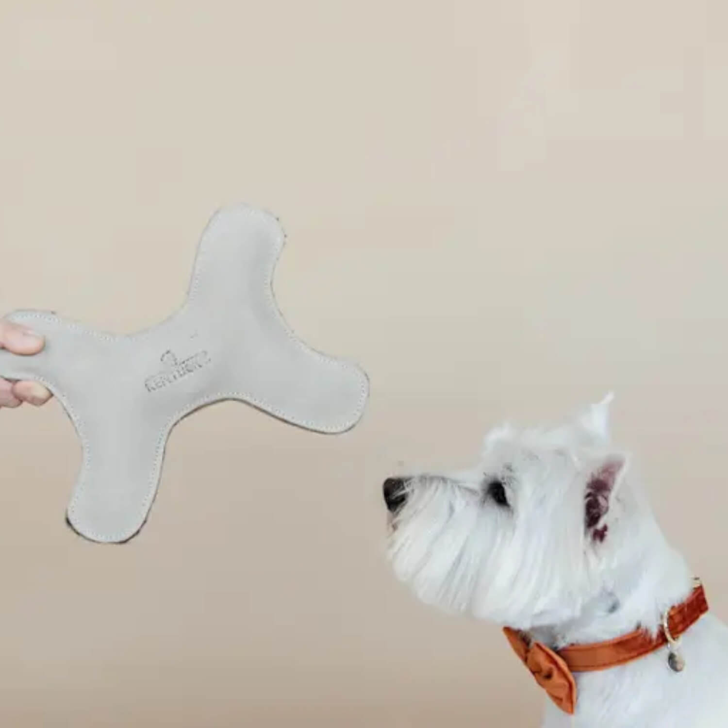 Kentucky Hundespielzeug Pastell Knochen Creme
