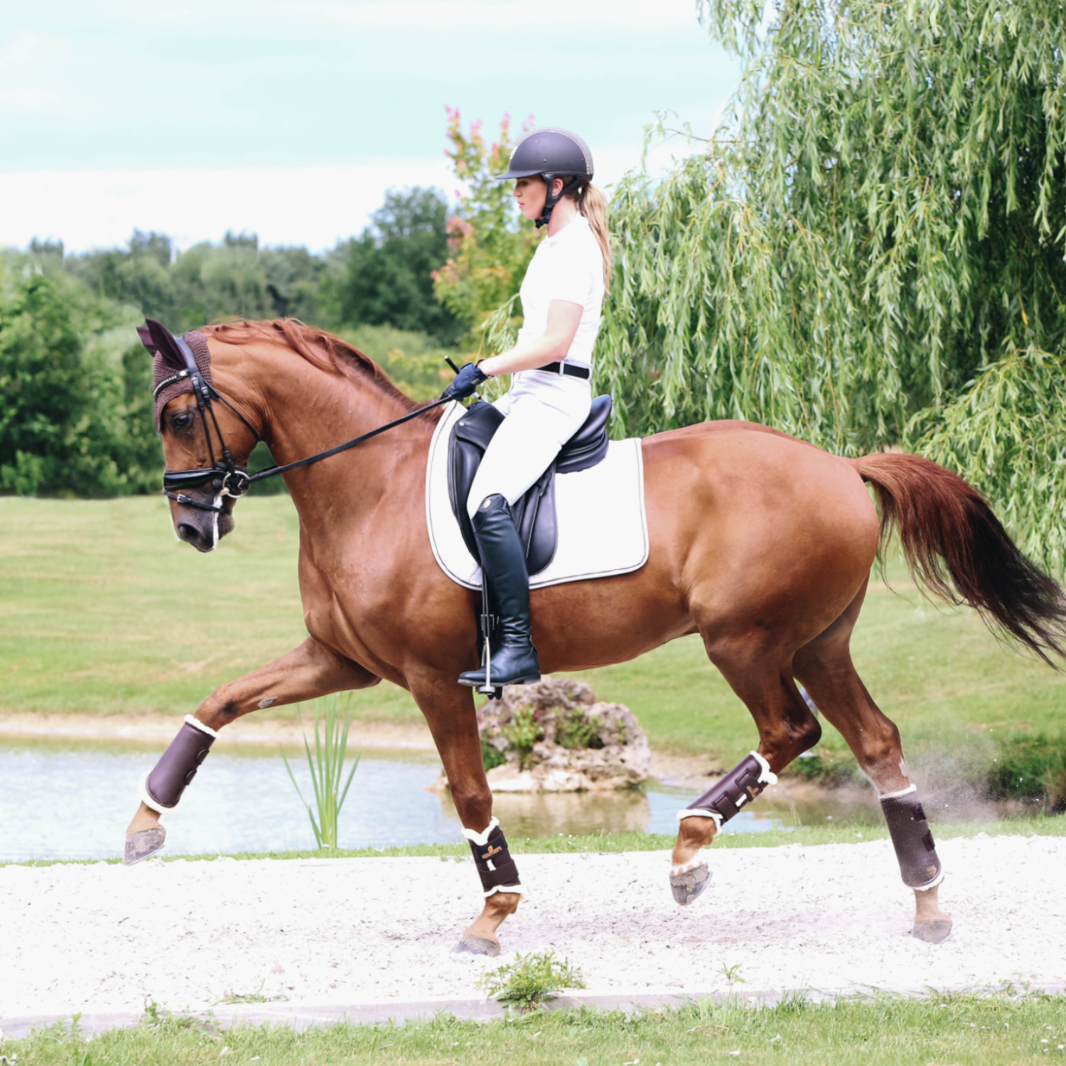 Kentucky Horsewear Arbeitsgamasche (Kunst-)leder hinten
