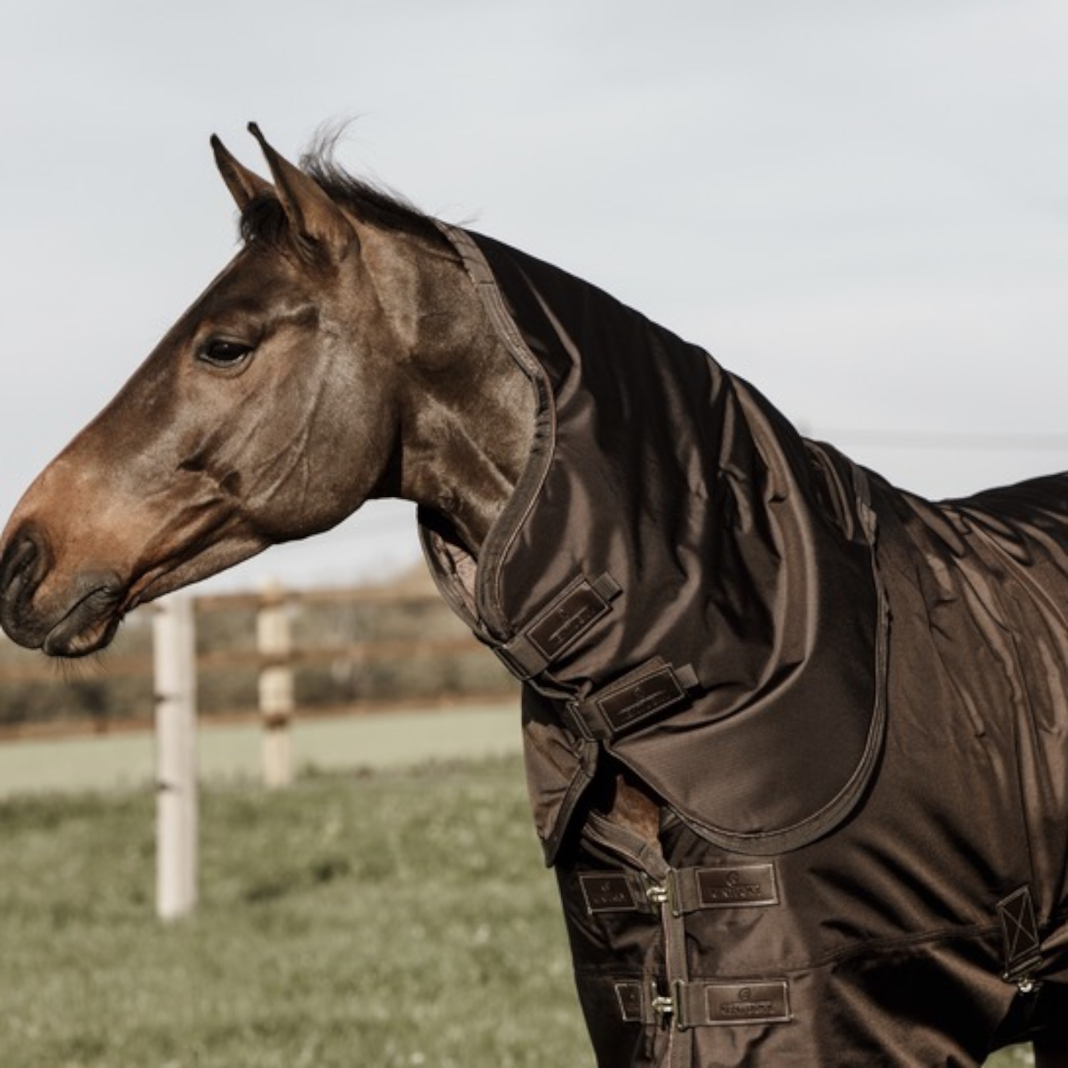 Kentucky Weidedecke All Weather Pro 160gr.