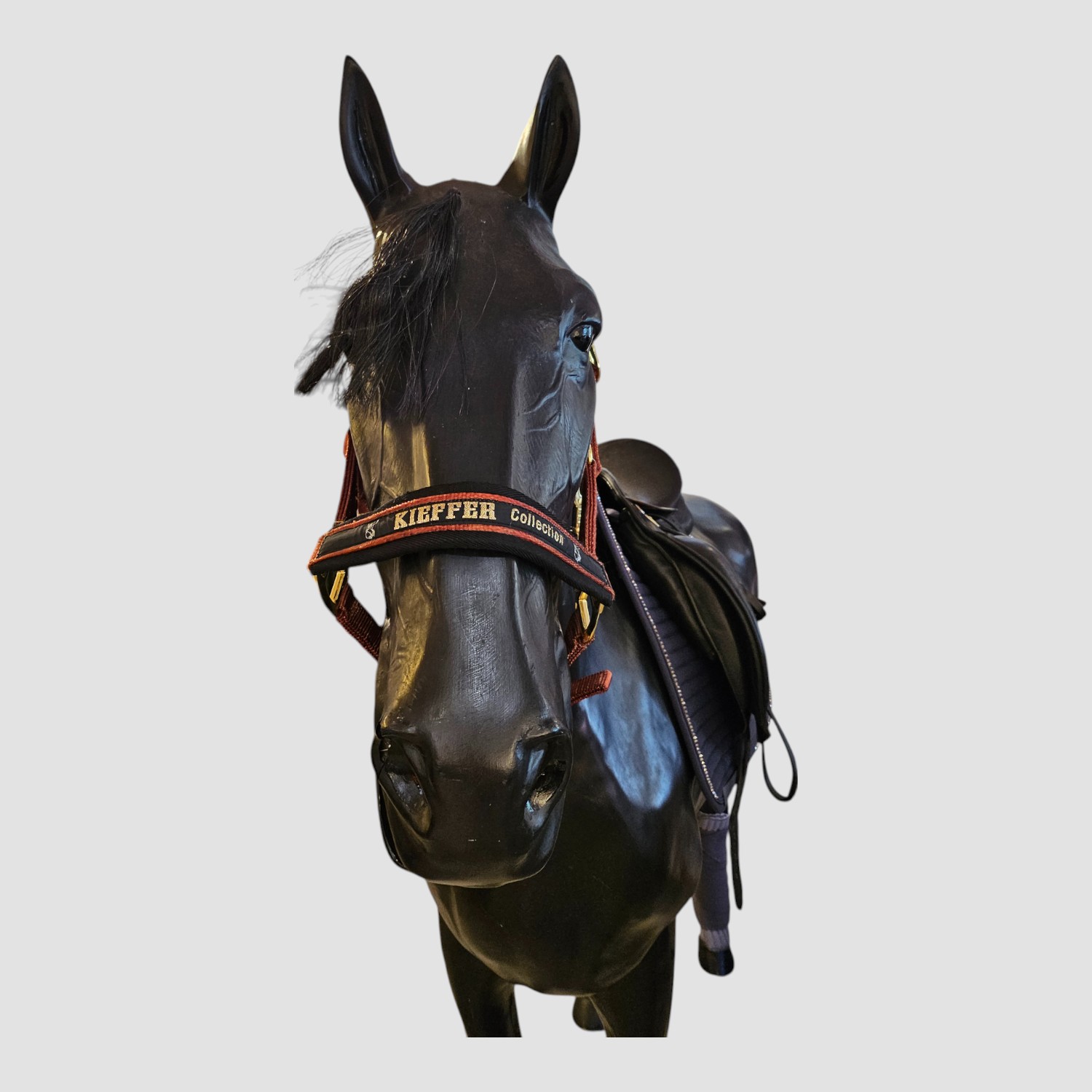 Kieffer Stallhalfter Nylon Collection Rost
