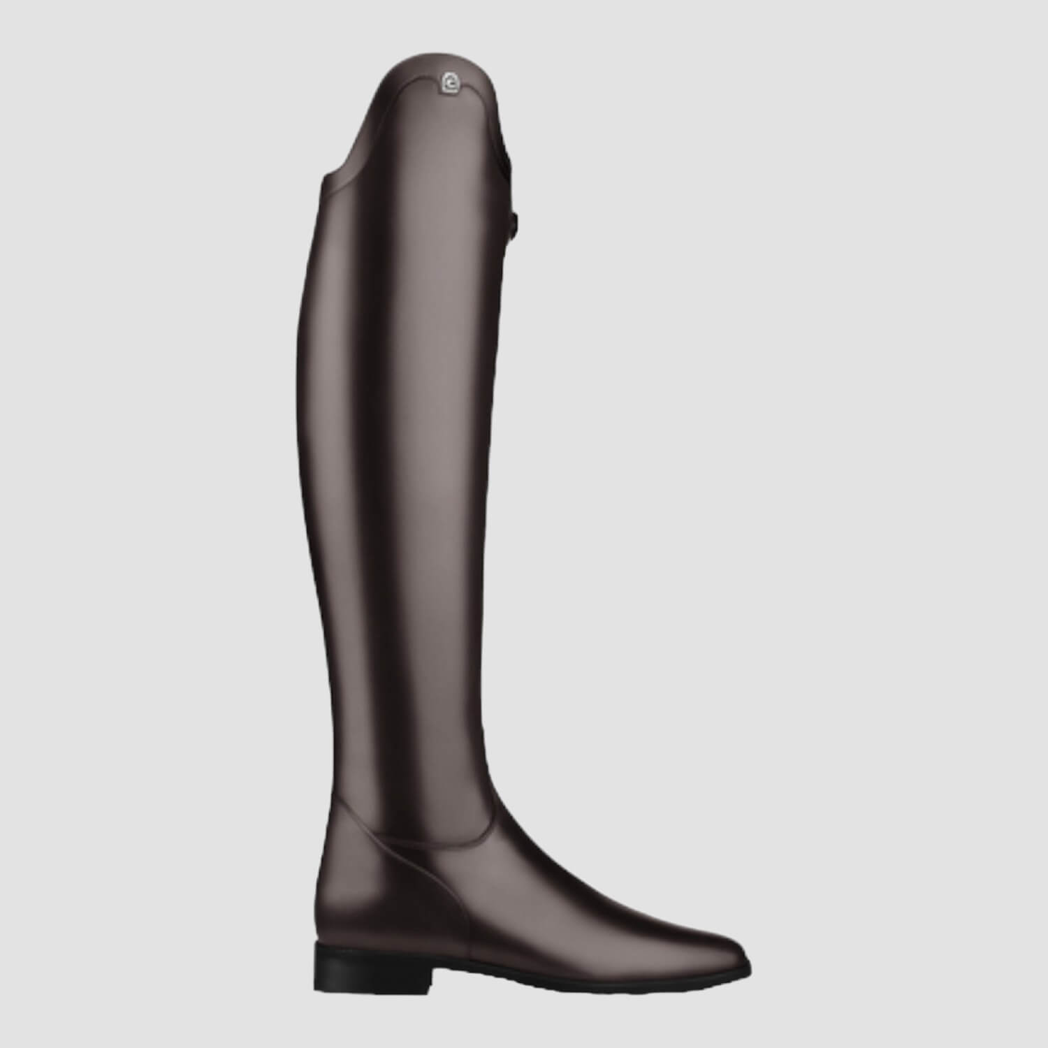 Cavallo Insignis Mocca