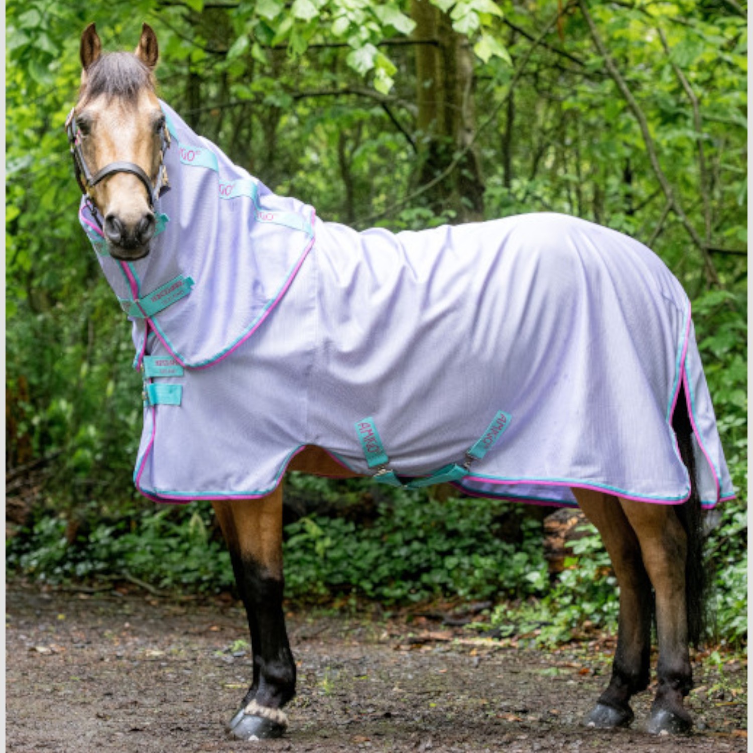 Amigo® Bug Rug Pony in Lavender/Capri Kollektion SS22