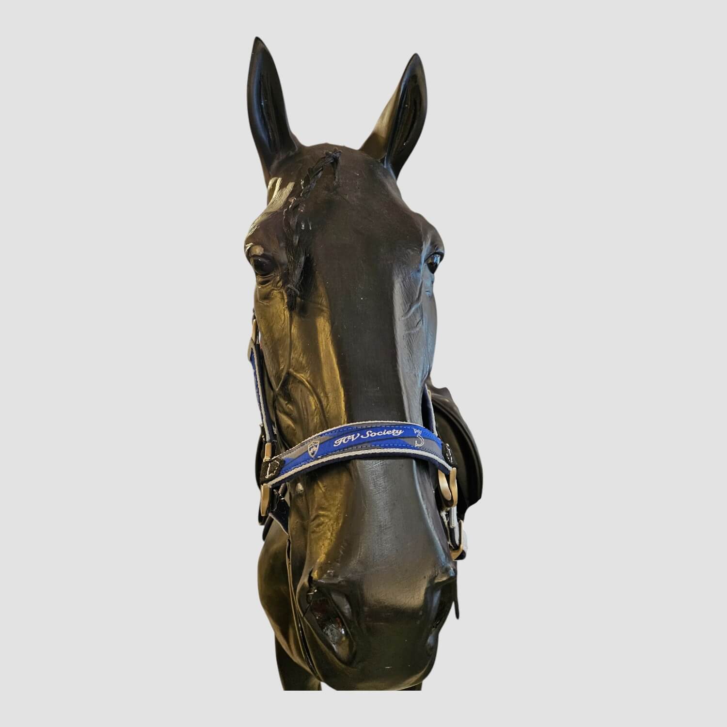HV Polo Halfter + Strick Eduardo Grau-Blau