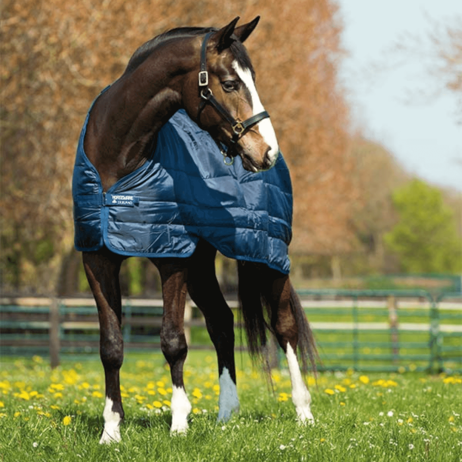 Horseware Liner 300gr.