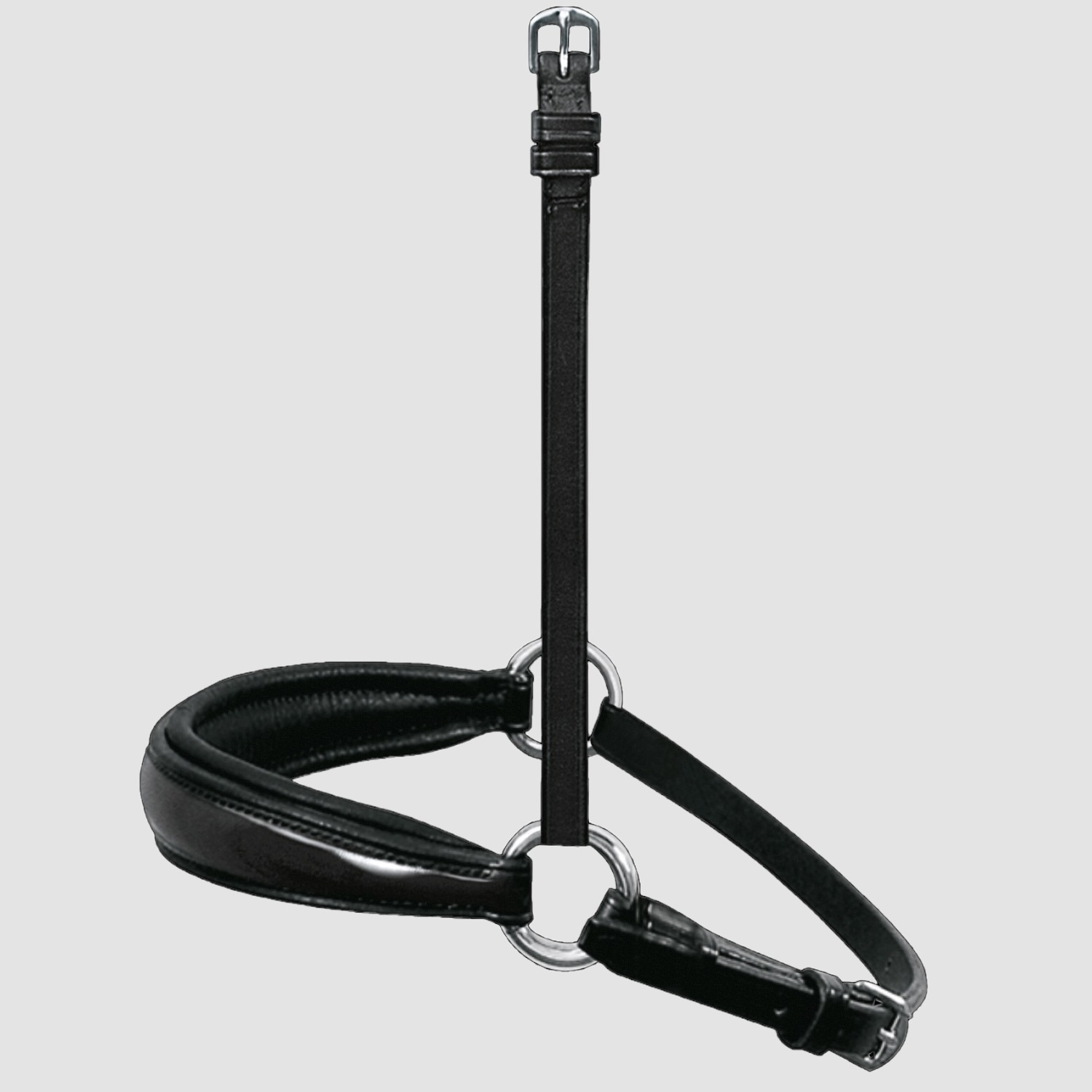 Passier Reithalfter Wechselnasenriemen alle Variationen