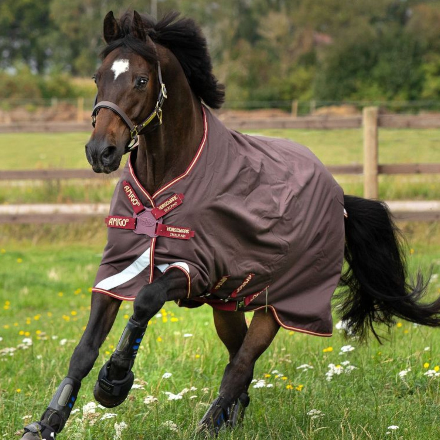 Horseware Amigo Bravo 12 Original Disc Lite 0 g