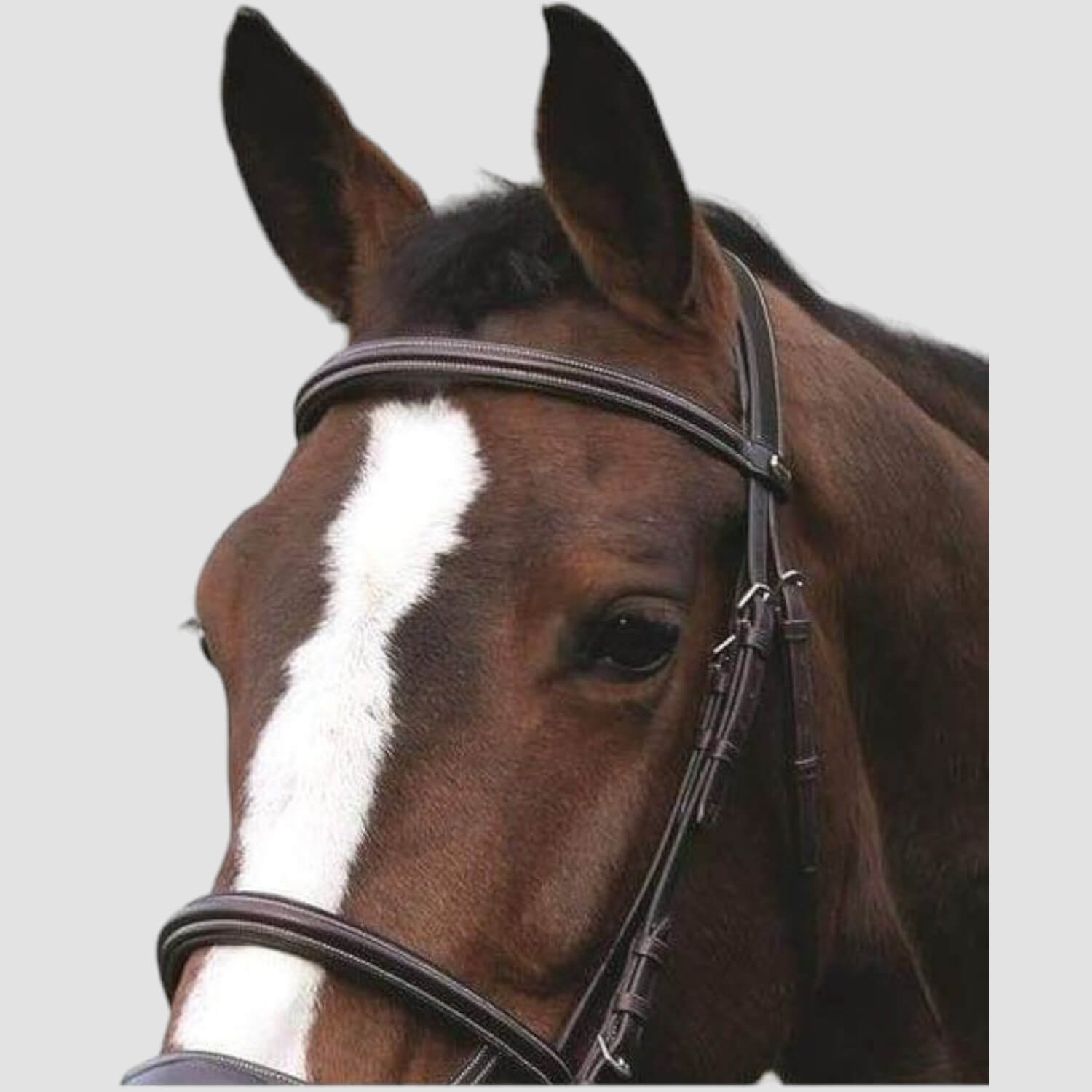 HorseGuard Trense Ergo mit Spezial Reithalfter Choco
