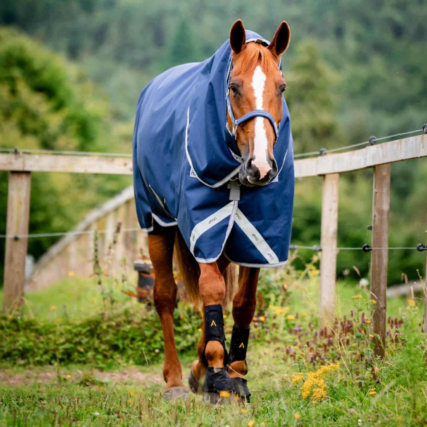 Horseware Amigo 1200D Plus Turnout 100g