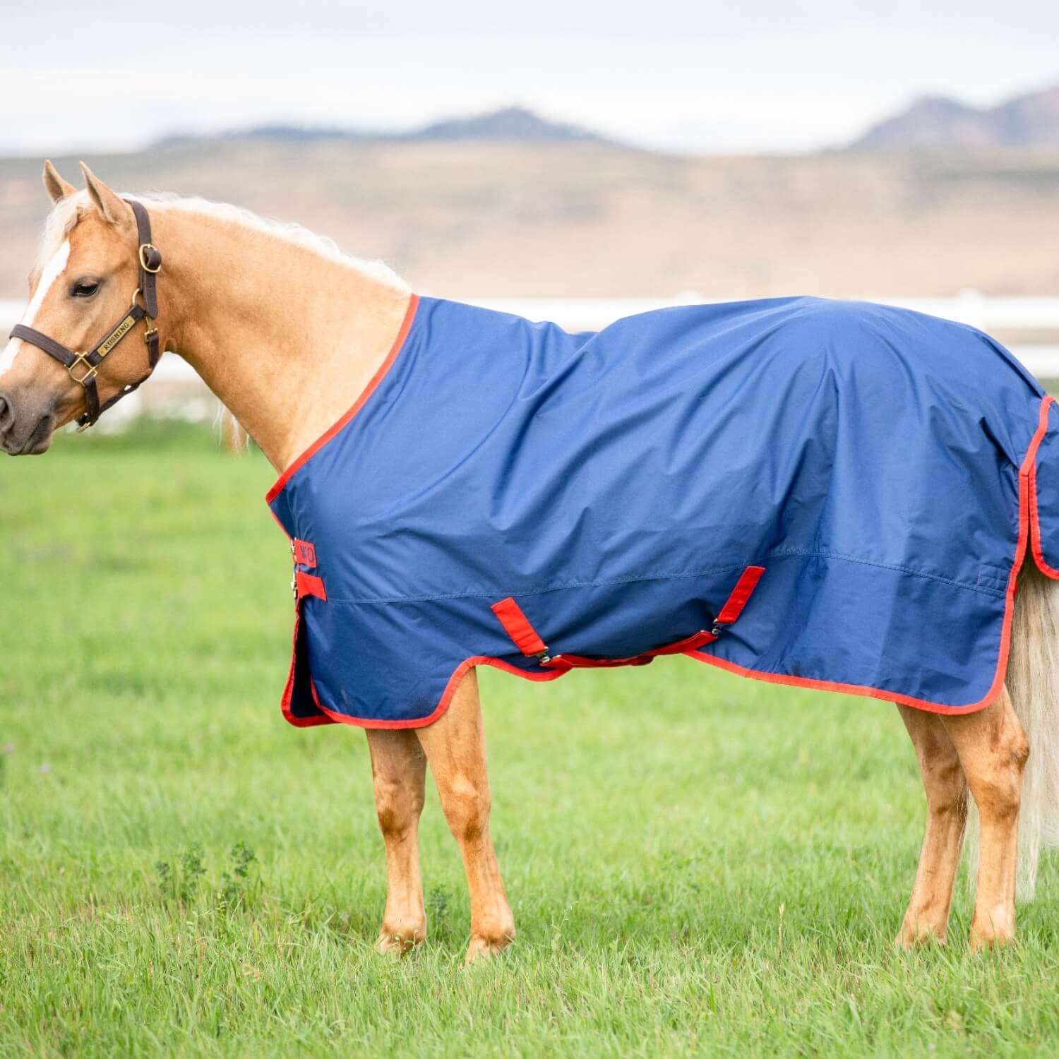 Horseware Mio Turnout Lite 0g