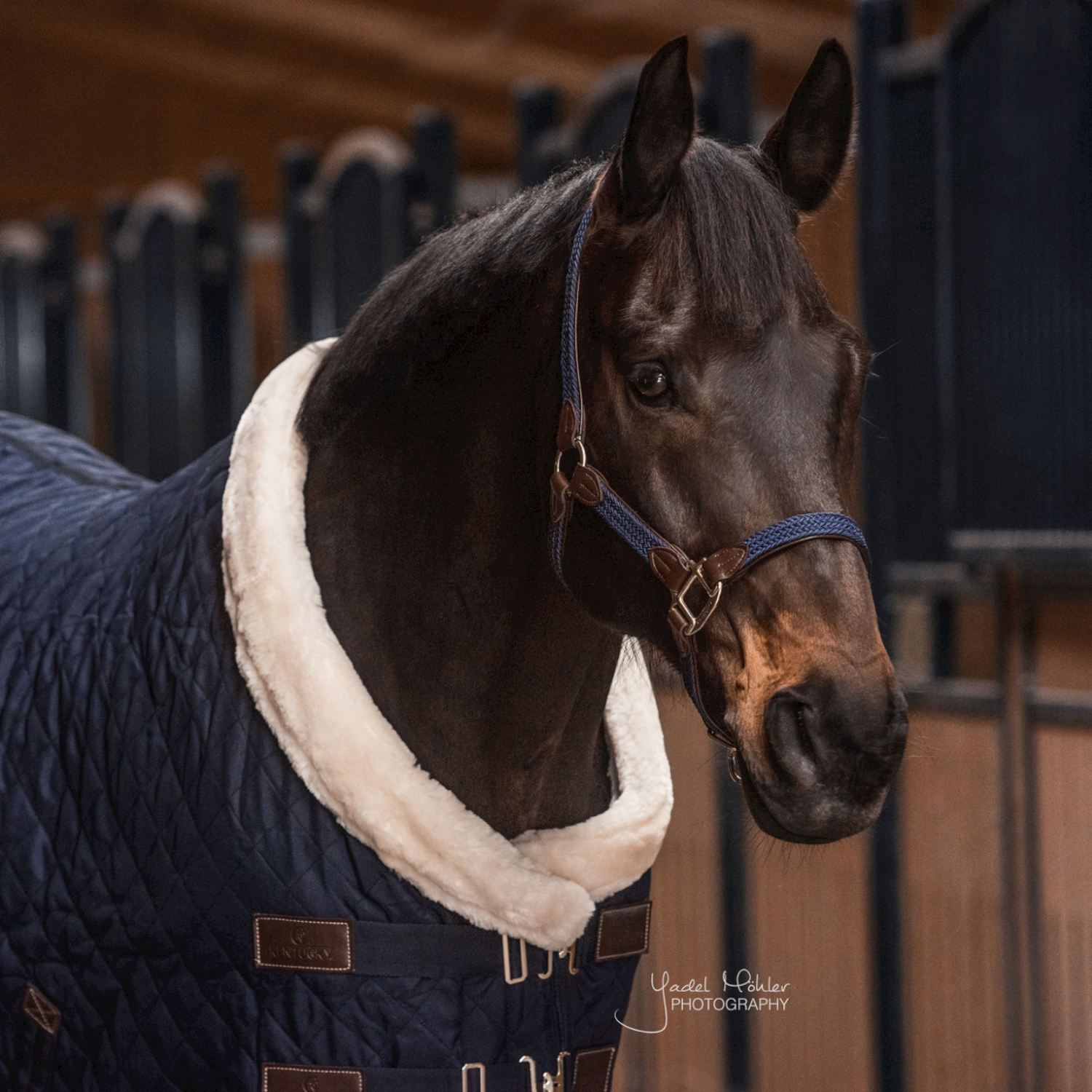Kentucky Horsewear geflochtenes Nylonhalfter Kentucky Horsewear geflochtenes Nylonhalfter