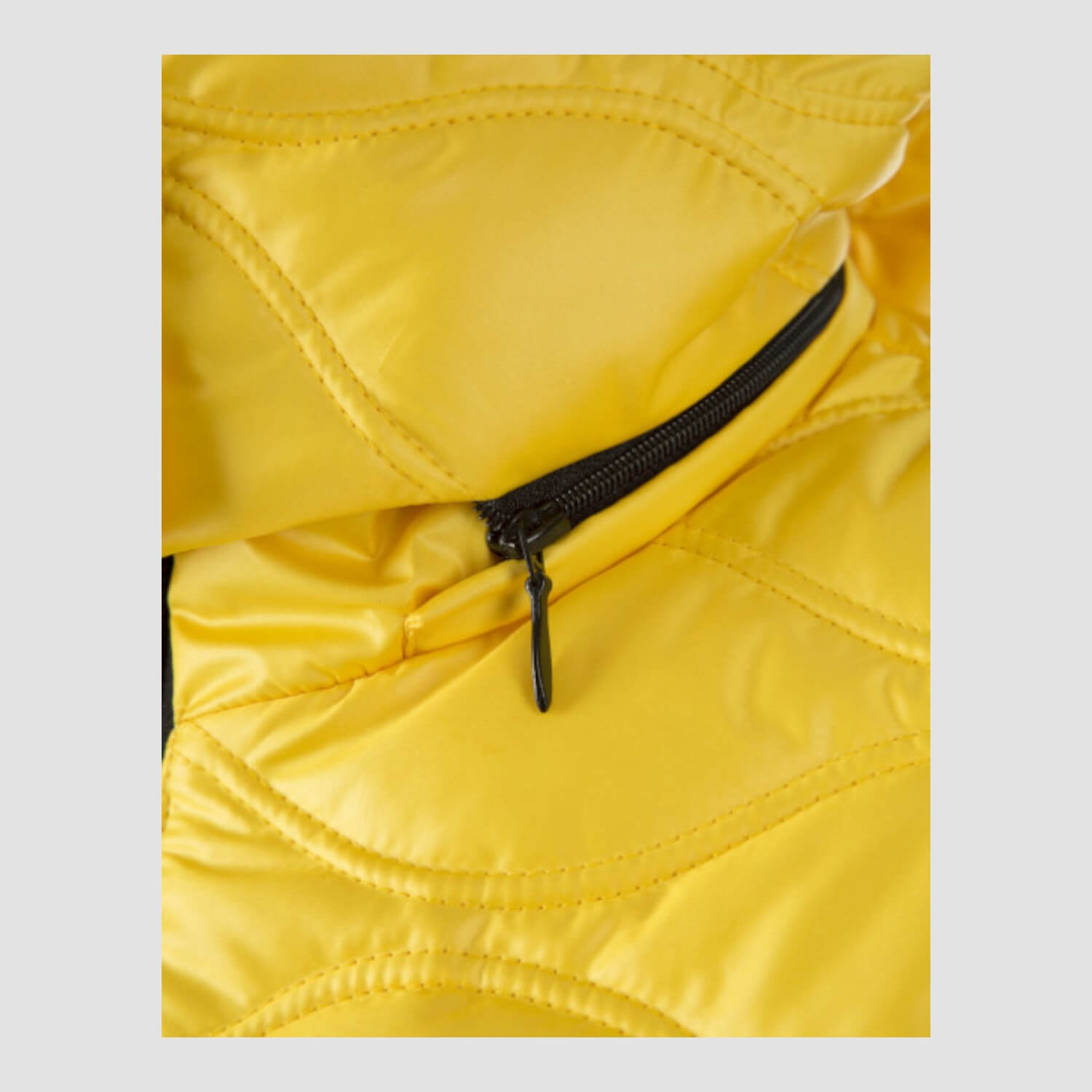 Animo Damen Steppjacke Libel Sole