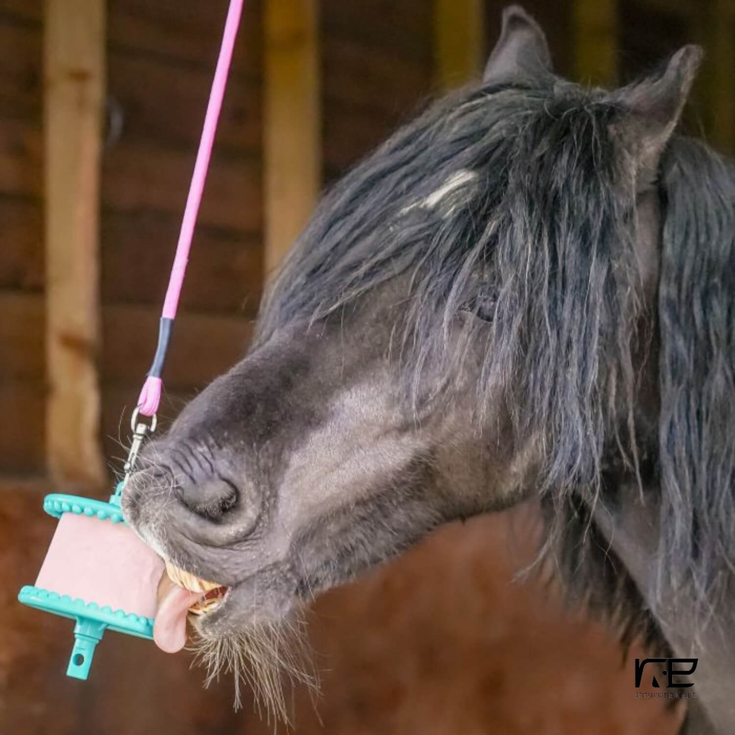 Waldhausen Likit Halterung Aquamarin