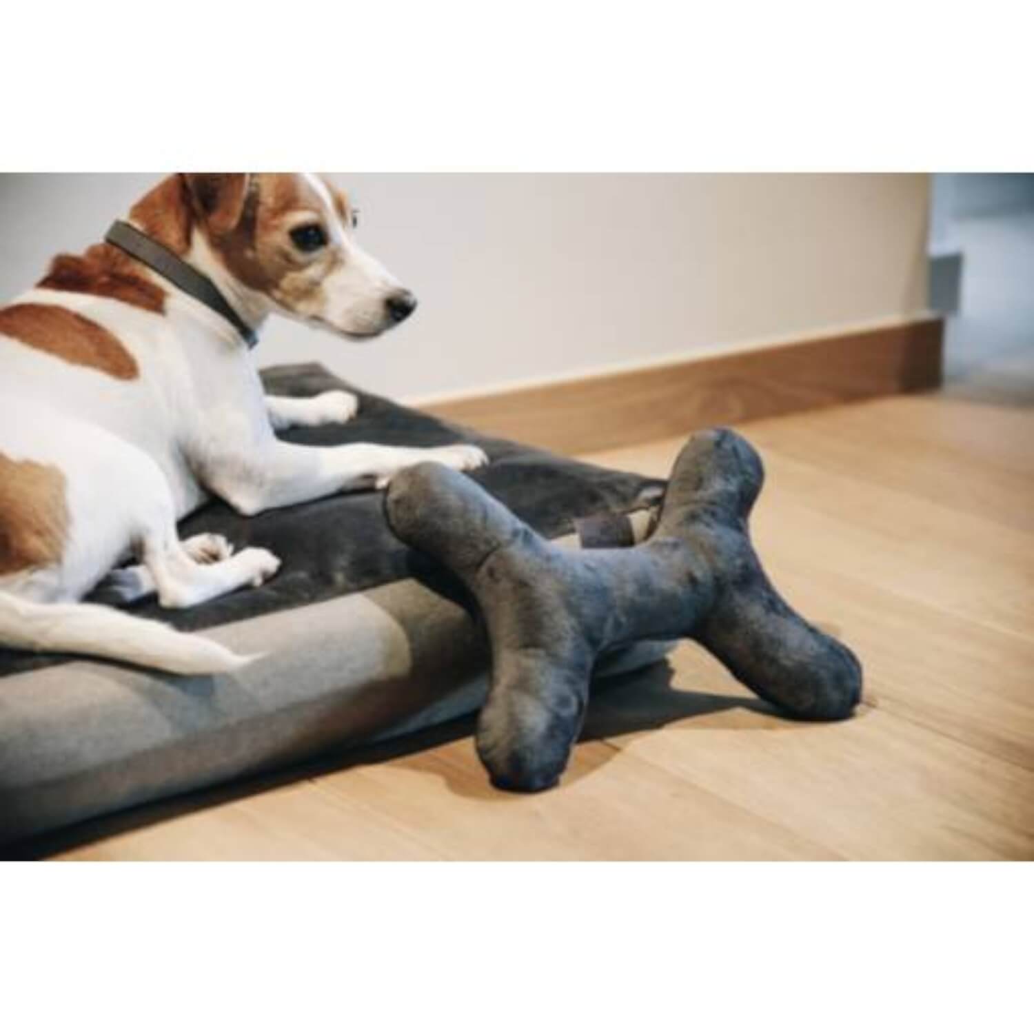 Kentucky Hundespielzeug "Bone"