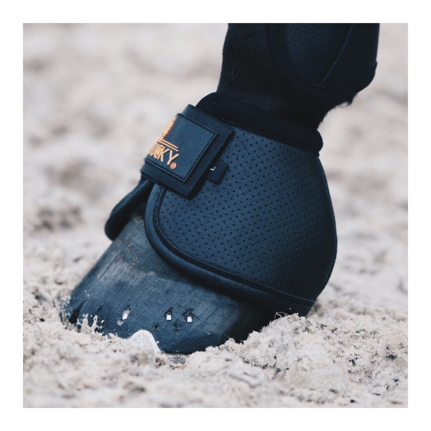 Kentucky Hufglocken "Air Tech" Schwarz