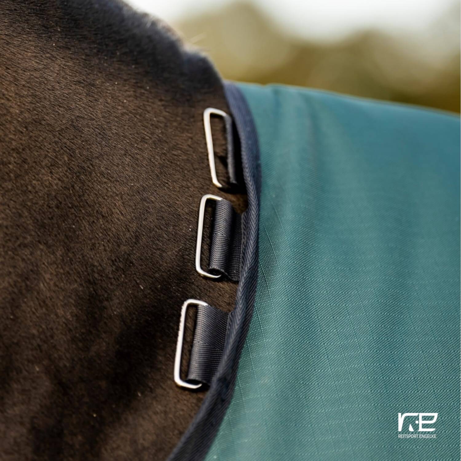 Horseware Amigo Ripstop 900D Turnout 50g Dynasty Green/Navy-Silver