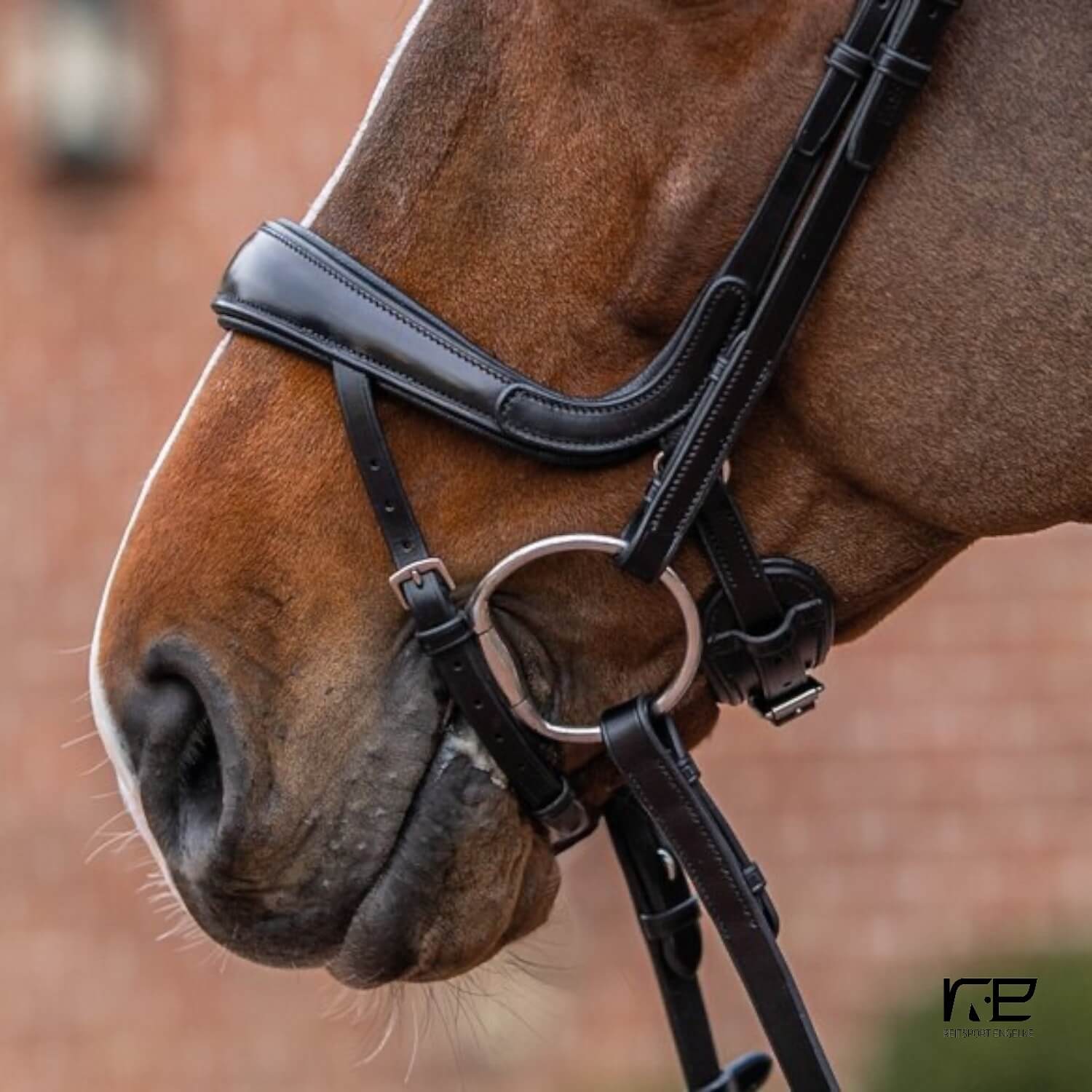 819 anat/Jochbeinfrei/ergon.Sperrriemen