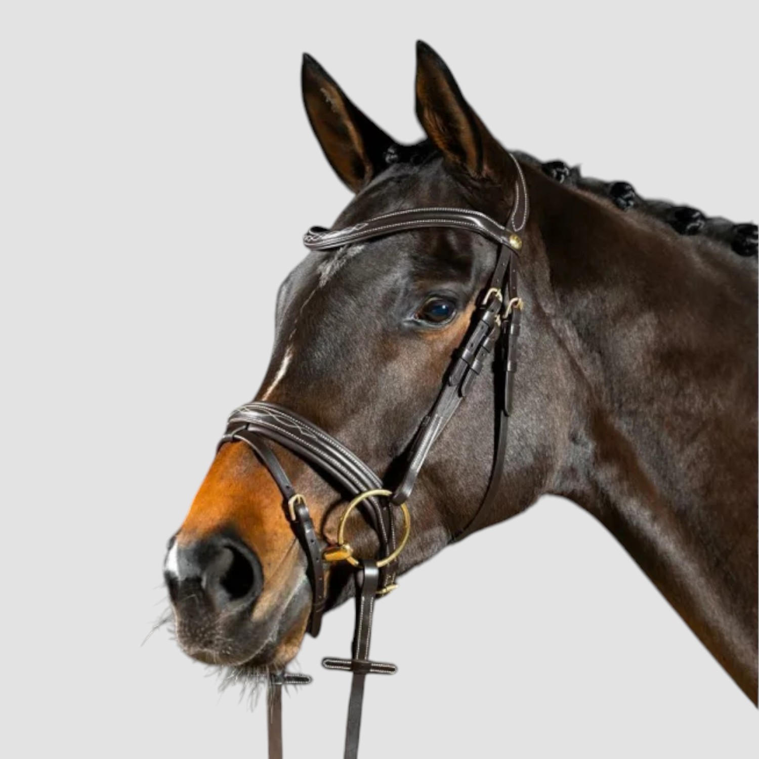 Hans Melzer Trense Donaueschingen braun/messing