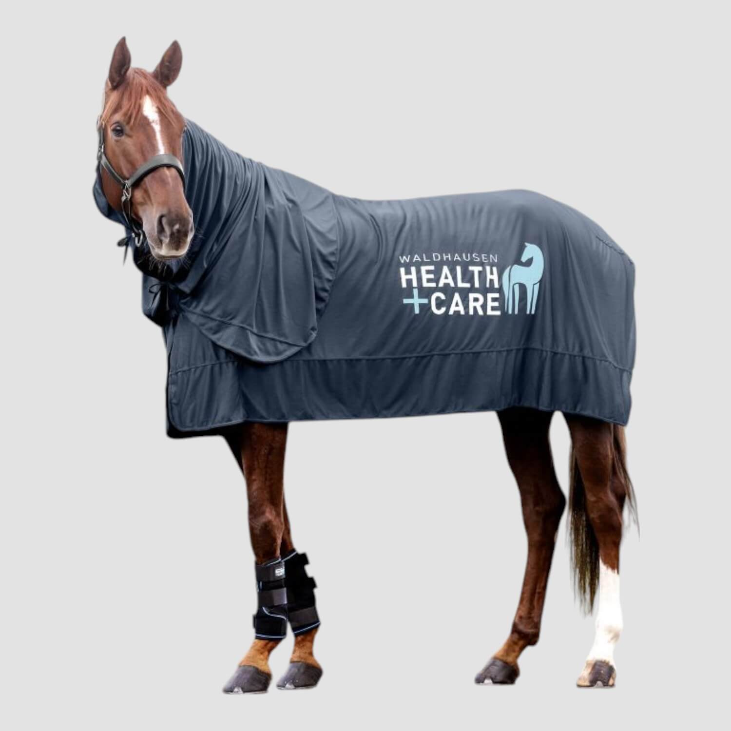 Waldhausen Kühldecke Health + Care Ice Layer Decke Nachtblau