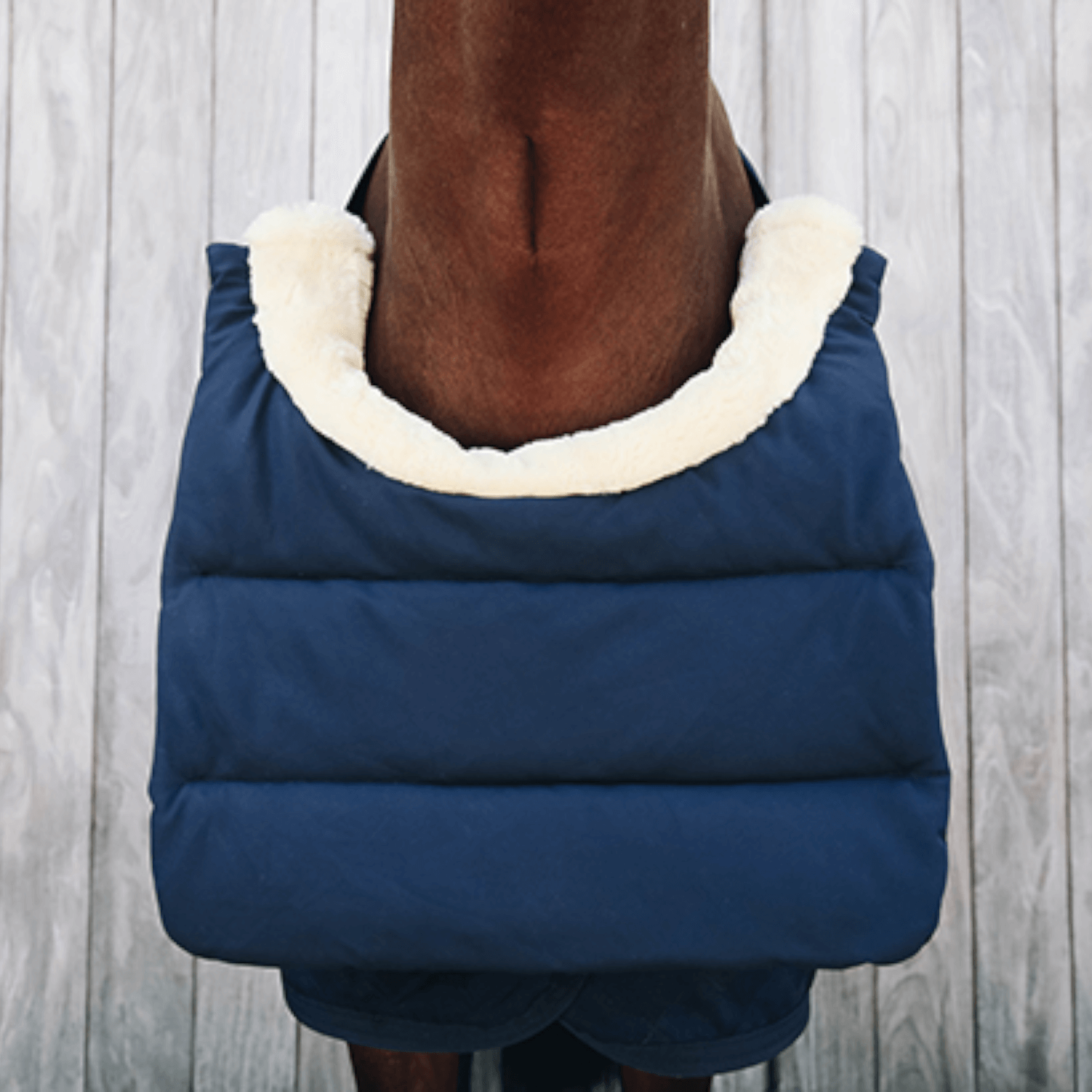 Kentucky Horse BIB Winter Marine