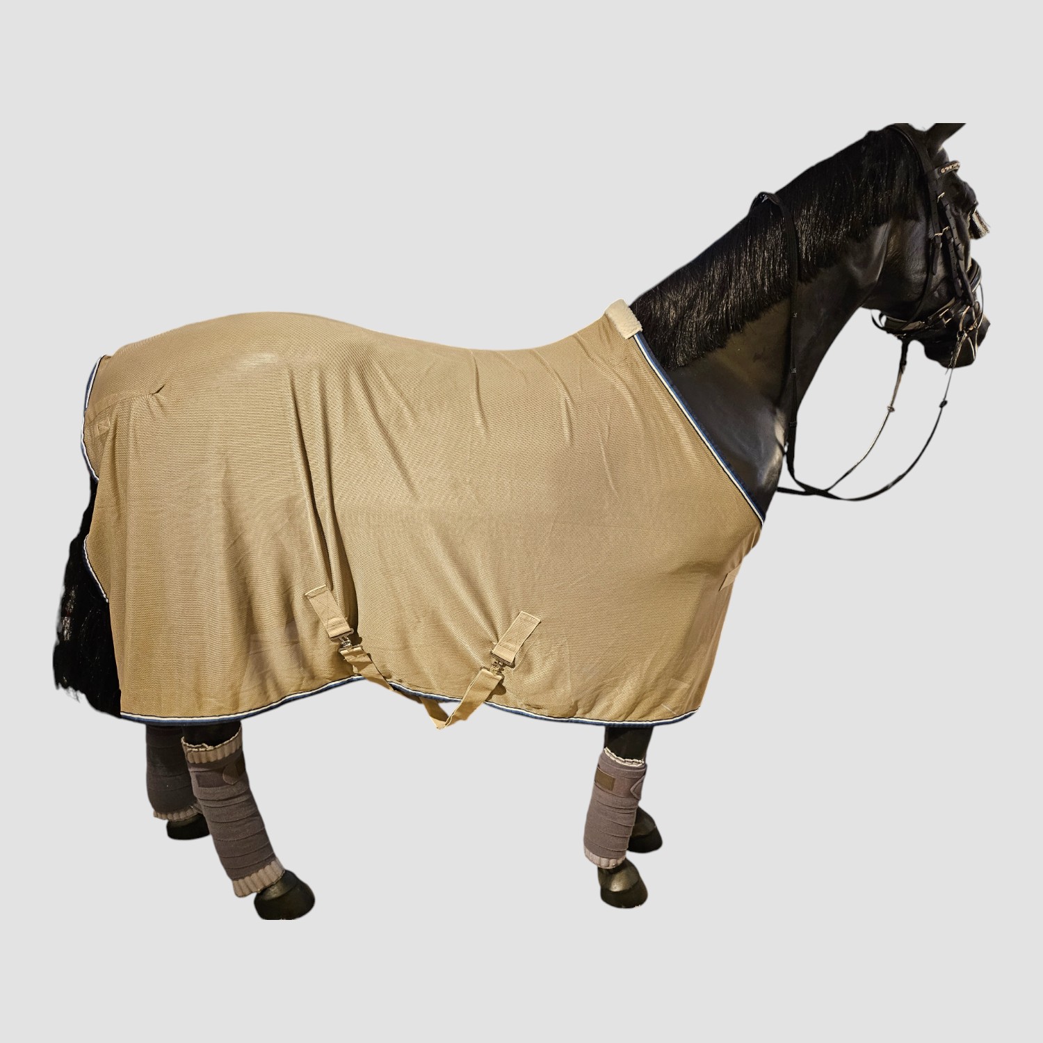 Eskadron Fliegendecke Beige