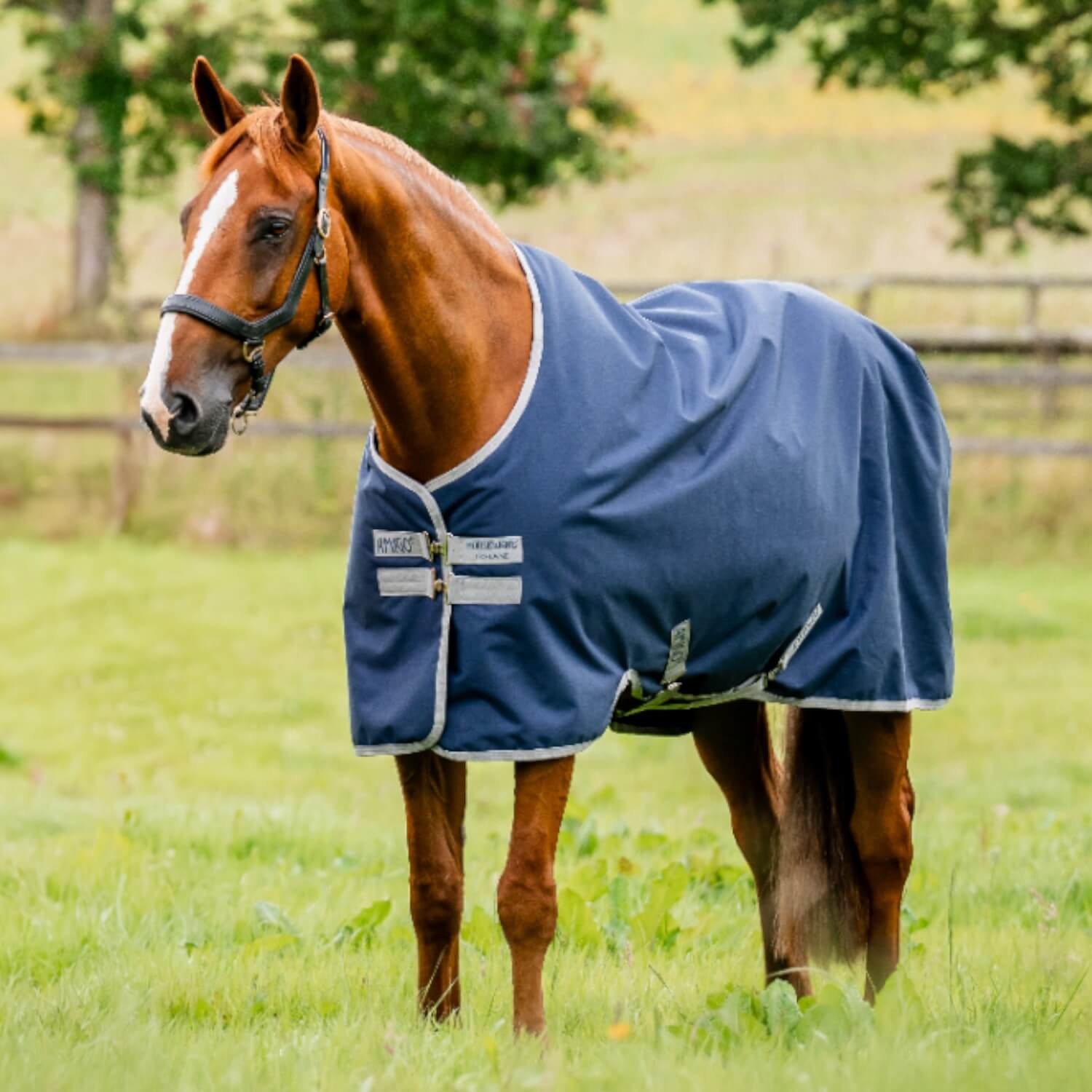 Horseware Amigo Ripstop 900D Turnout 0g Navy/Titanium/Grey