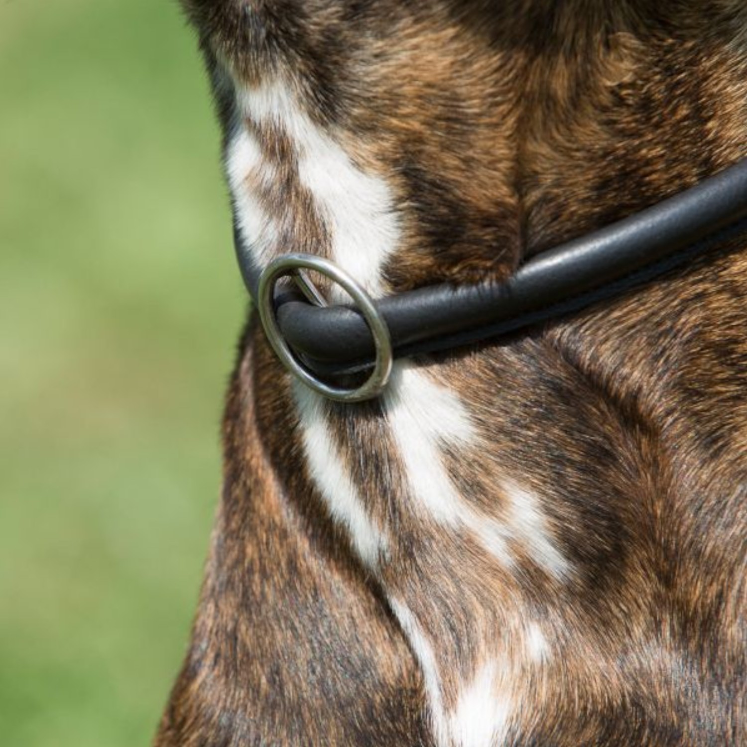 Kieffer Ausbildungshalsband Ultra Soft 45 cm Schwarz