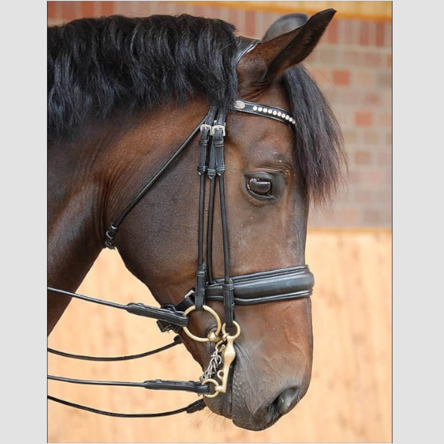 Dyon Kandare Dressage Rundgenäht Black/Silver