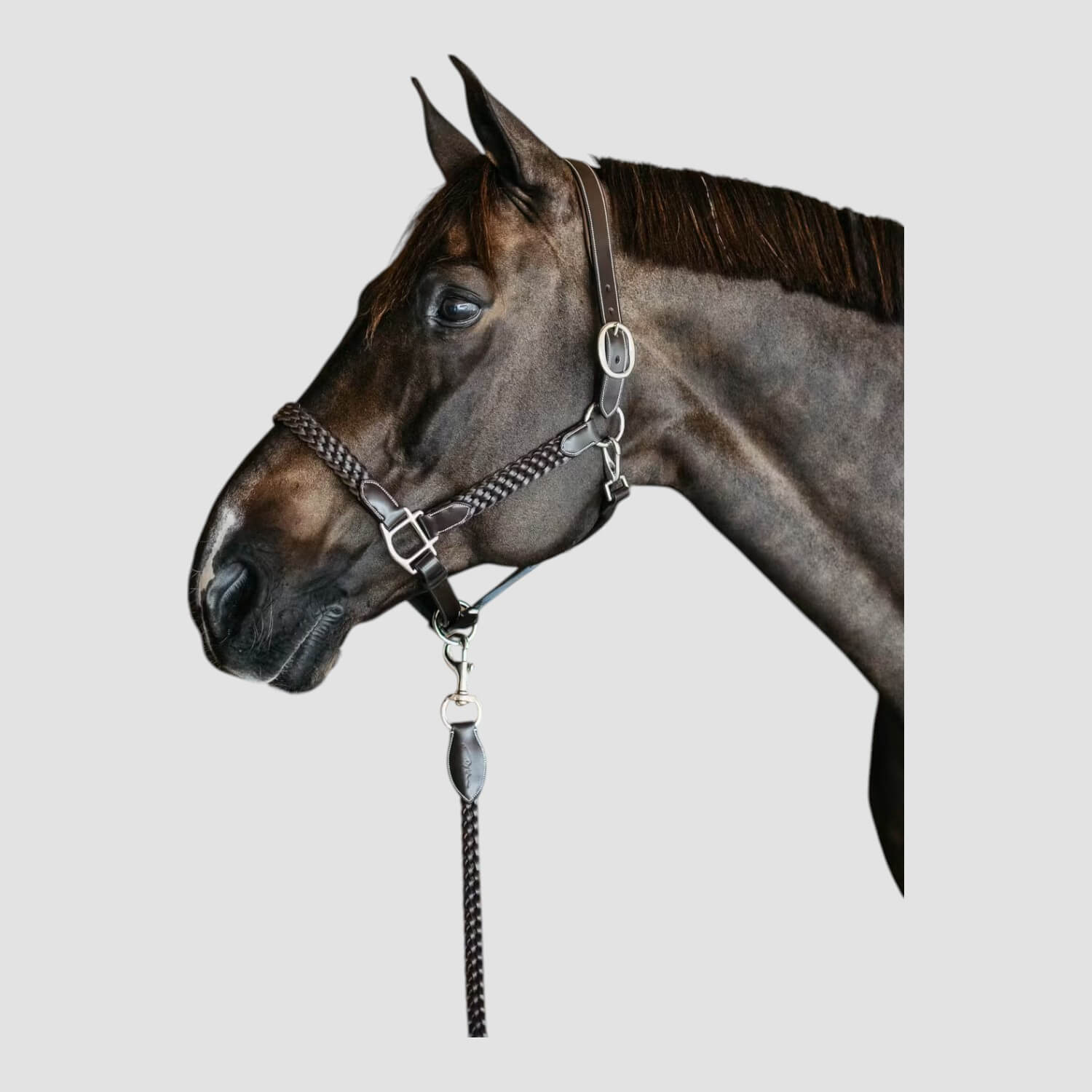 Dyon Plaited Halfter Brown