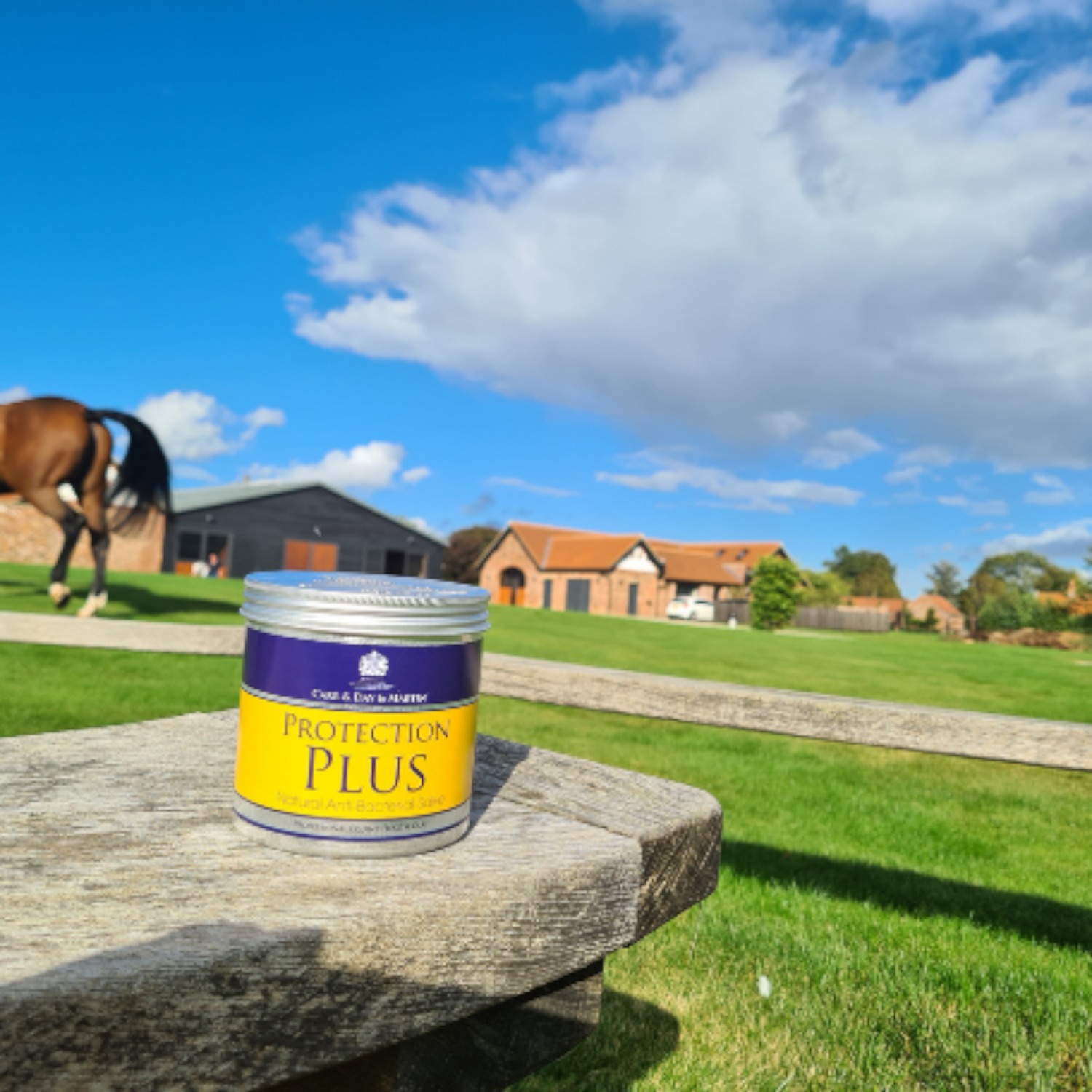 Carr & Day & Martin Protection Plus antibakterielle Salbe