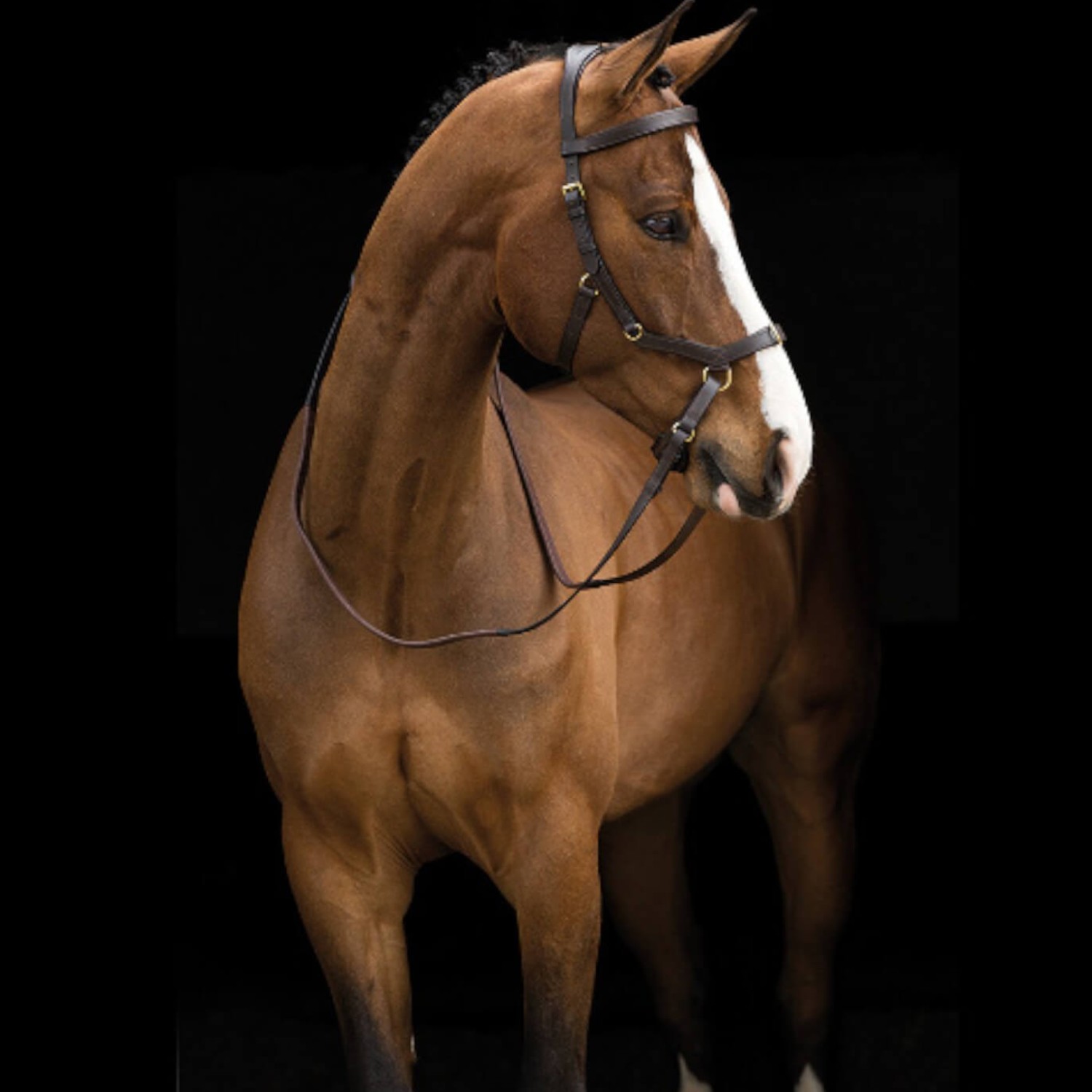 Horseware Rambo Micklem Multi Bridle Black