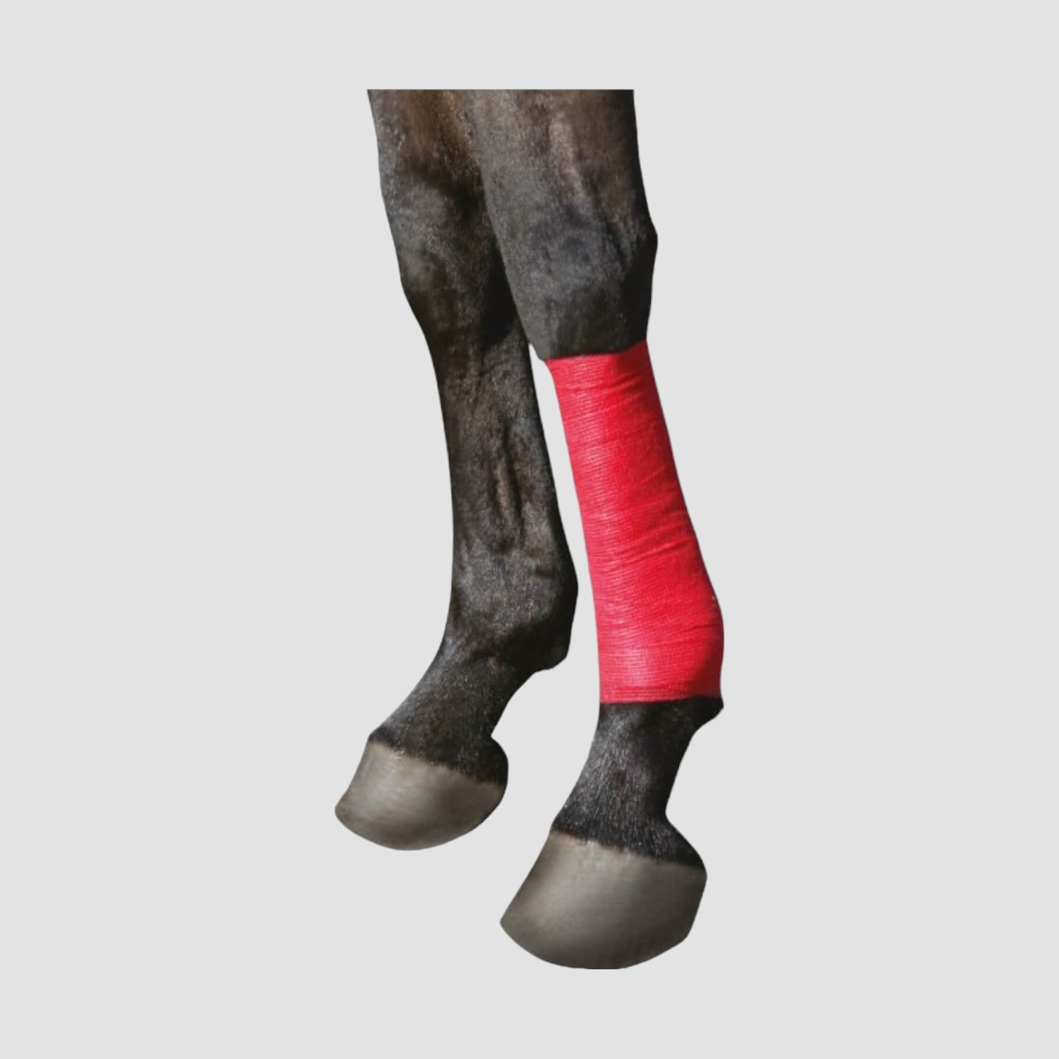 EquiLastic Selbsthaftende Bandage 10 cm Breit EquiLastic Selbsthaftende Bandage 10 cm Breit