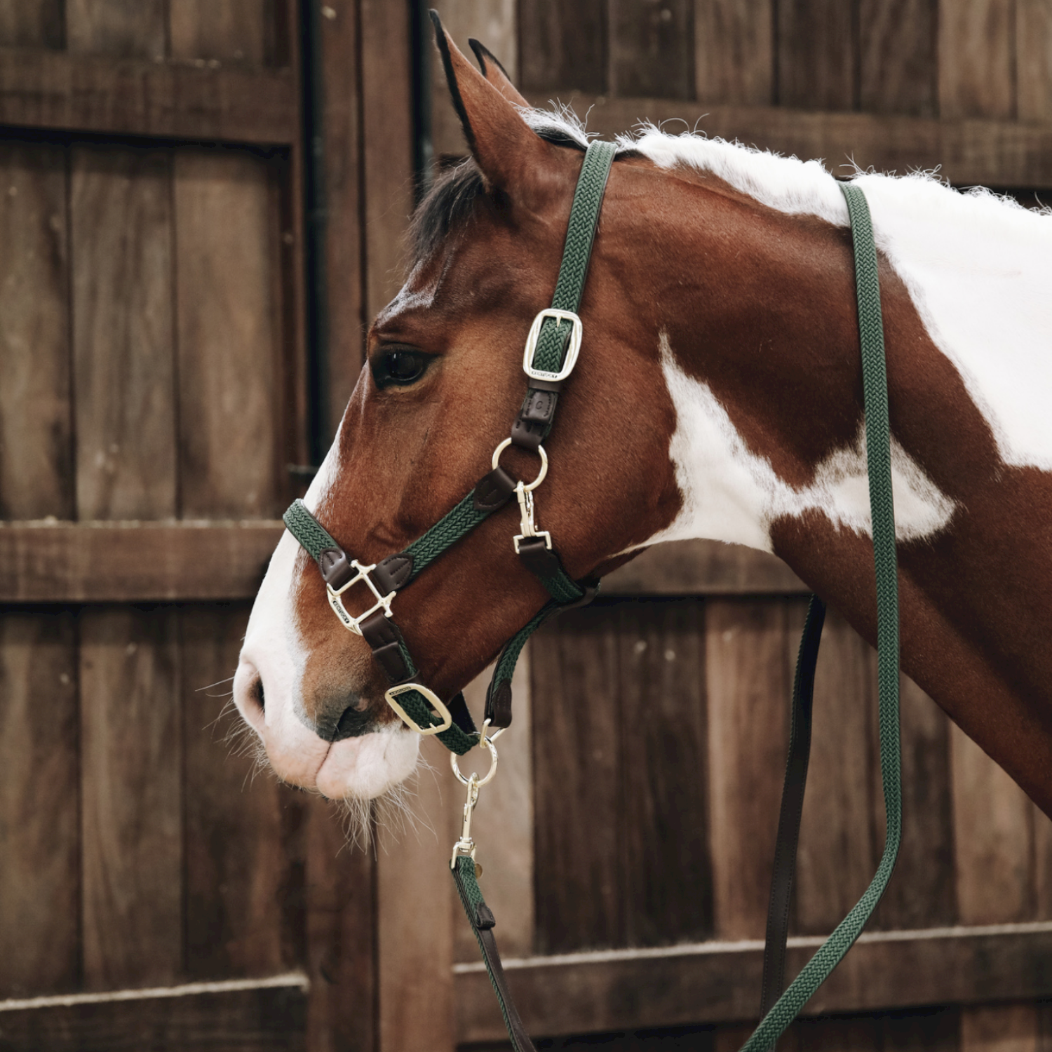 Kentucky Horsewear geflochtenes Nylonhalfter Kentucky Horsewear geflochtenes Nylonhalfter