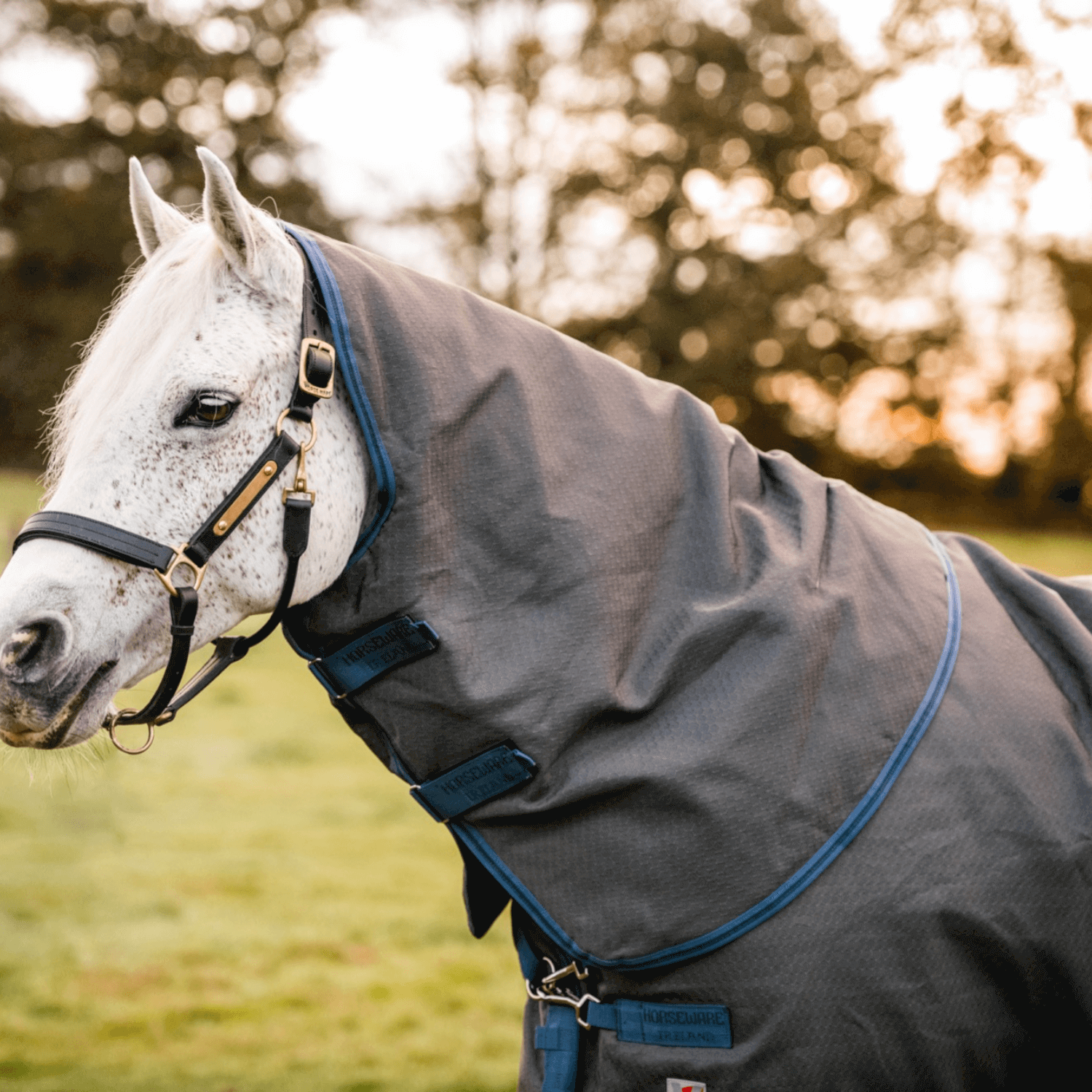 Horseware Rhino® Plus Hexstop Turnout with Vari-Layer (250g Medium)