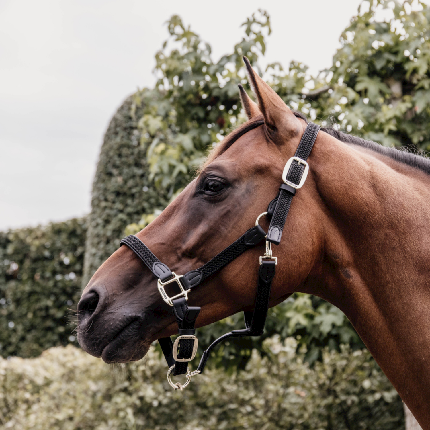 Kentucky Horsewear geflochtenes Nylonhalfter Kentucky Horsewear geflochtenes Nylonhalfter