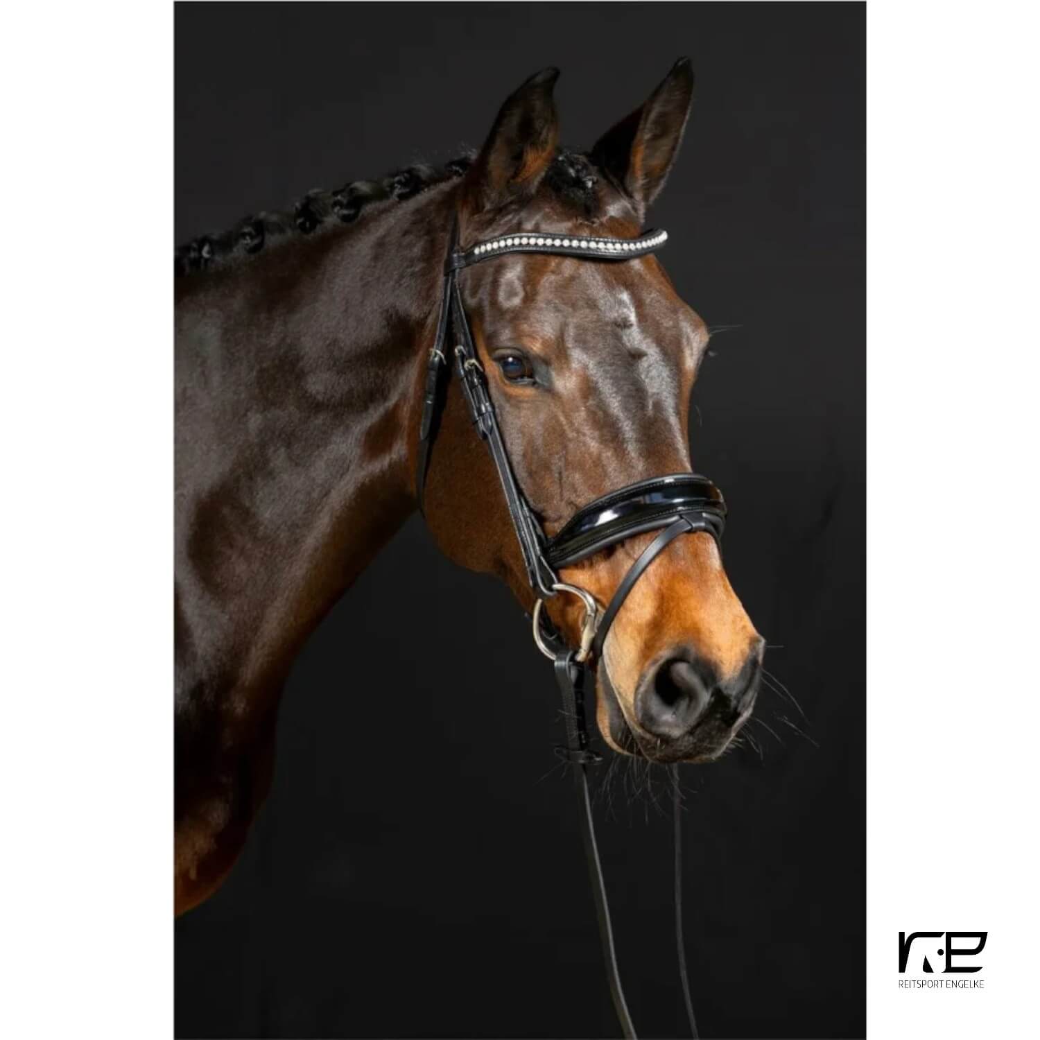 Hans Melzer Trense Wiesbaden Comfort Lack Schwarz Unterlegt schwedisches Reithalfter