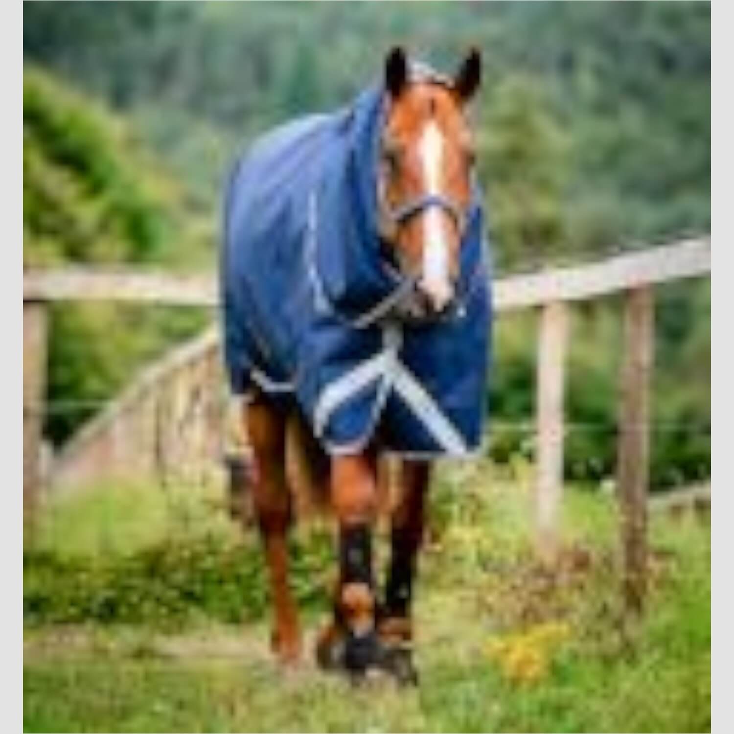 Horseware Amigo Halsteil 150 g