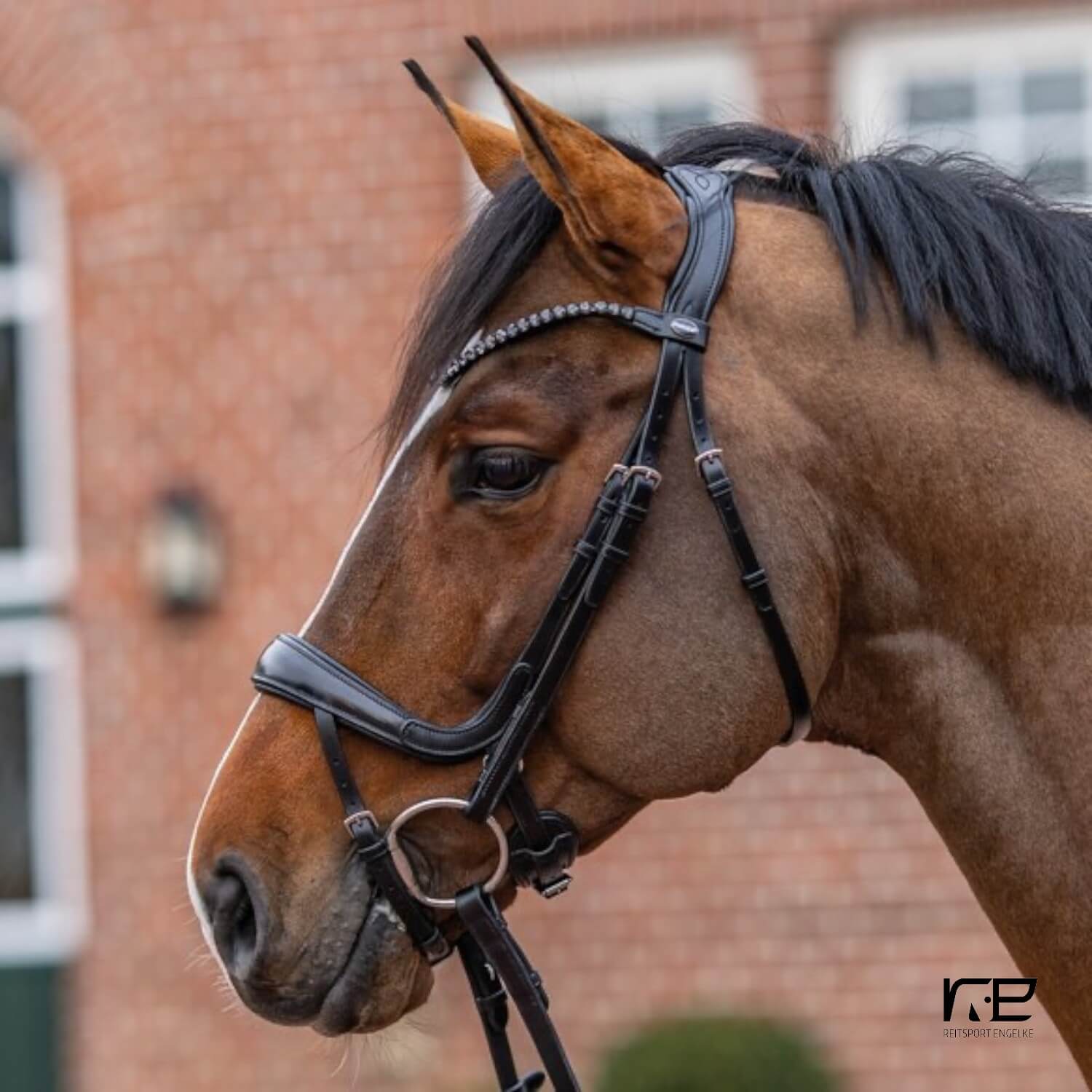 Passier Trense Move by Julia Krajewski schwarz (Reithalfter frei wählbar)