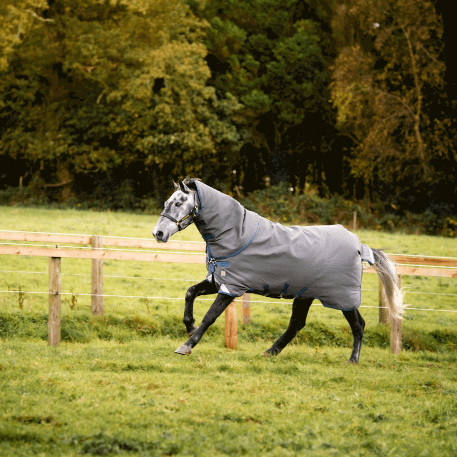 Horseware Rhino® Plus Hexstop Turnout with Vari-Layer (250g Medium)