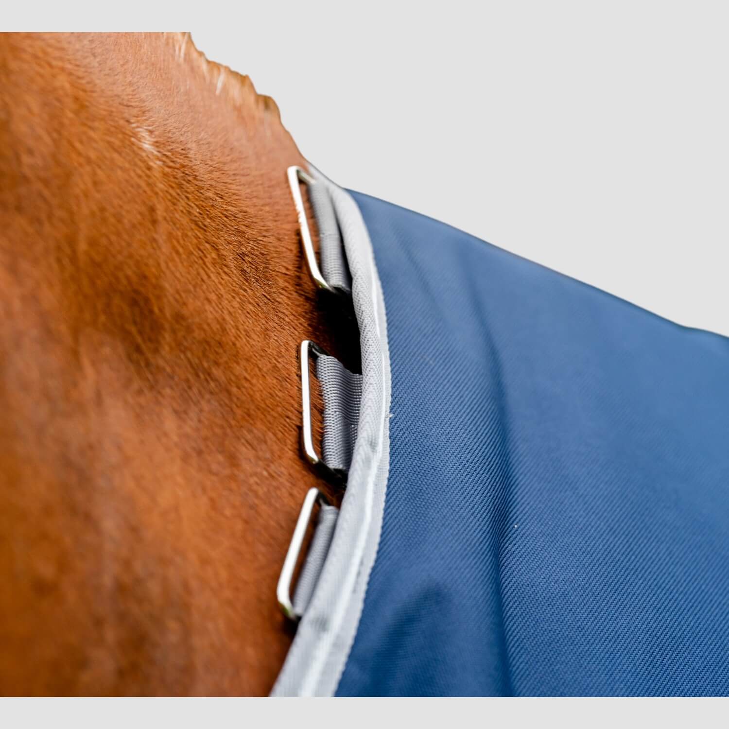 Horseware Amigo 1200D Plus Turnout 100g