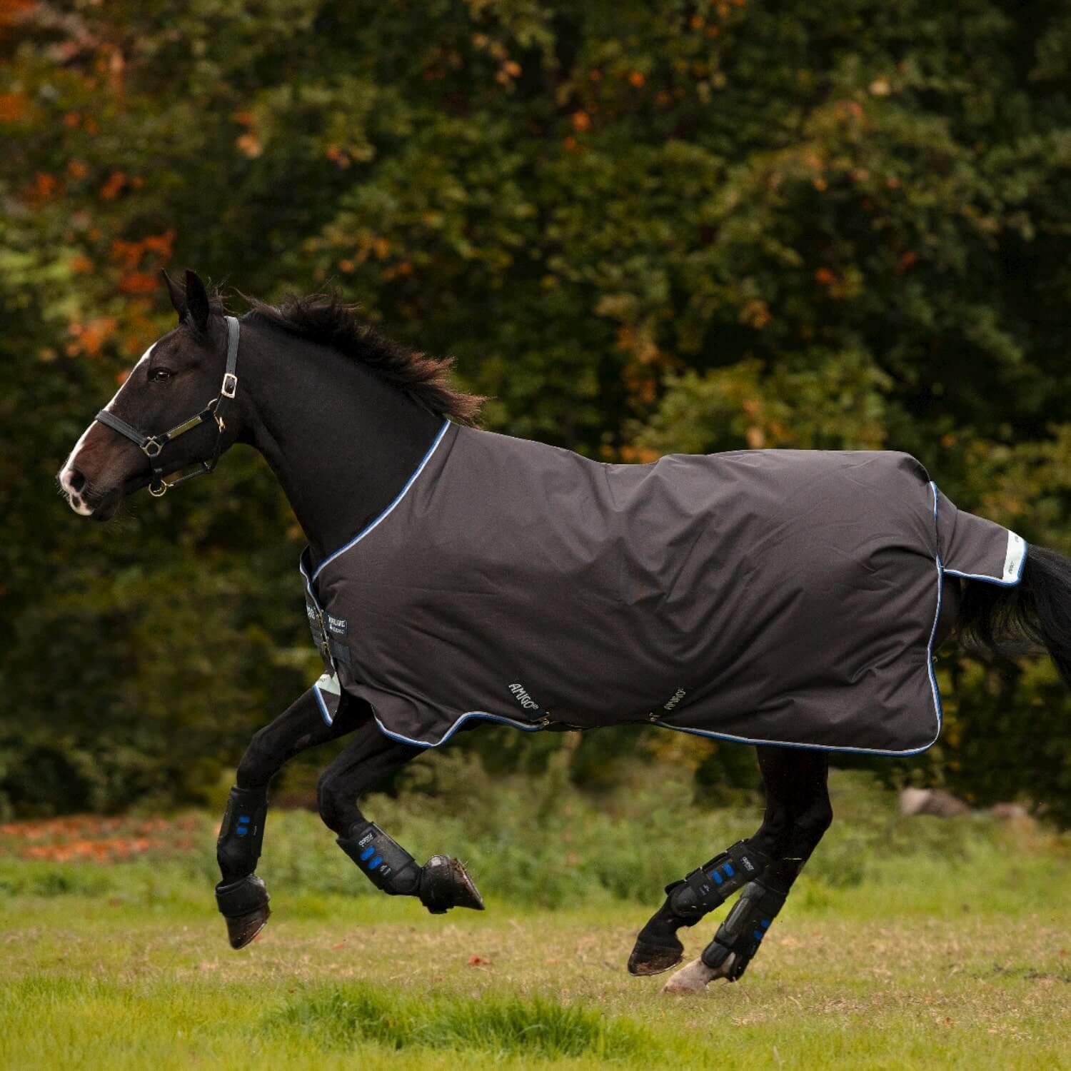 Horseware Weidedecke Amigo Bravo 12 Original 100 g