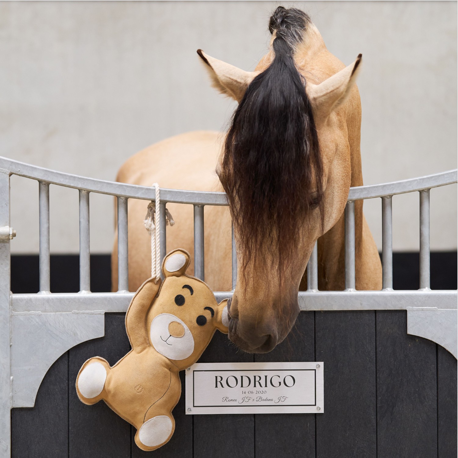 Imperial Riding Stable Buddy IRHTeddy Natural