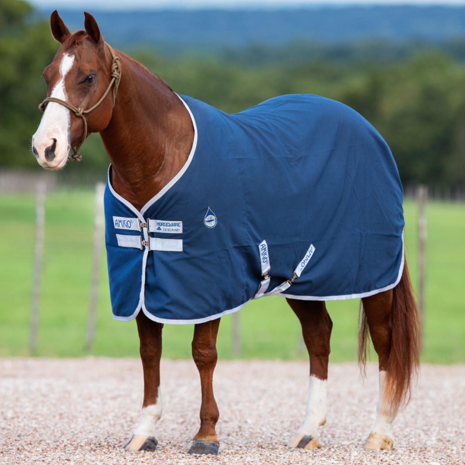 Horseware Amigo Stable Sheet navy/silver