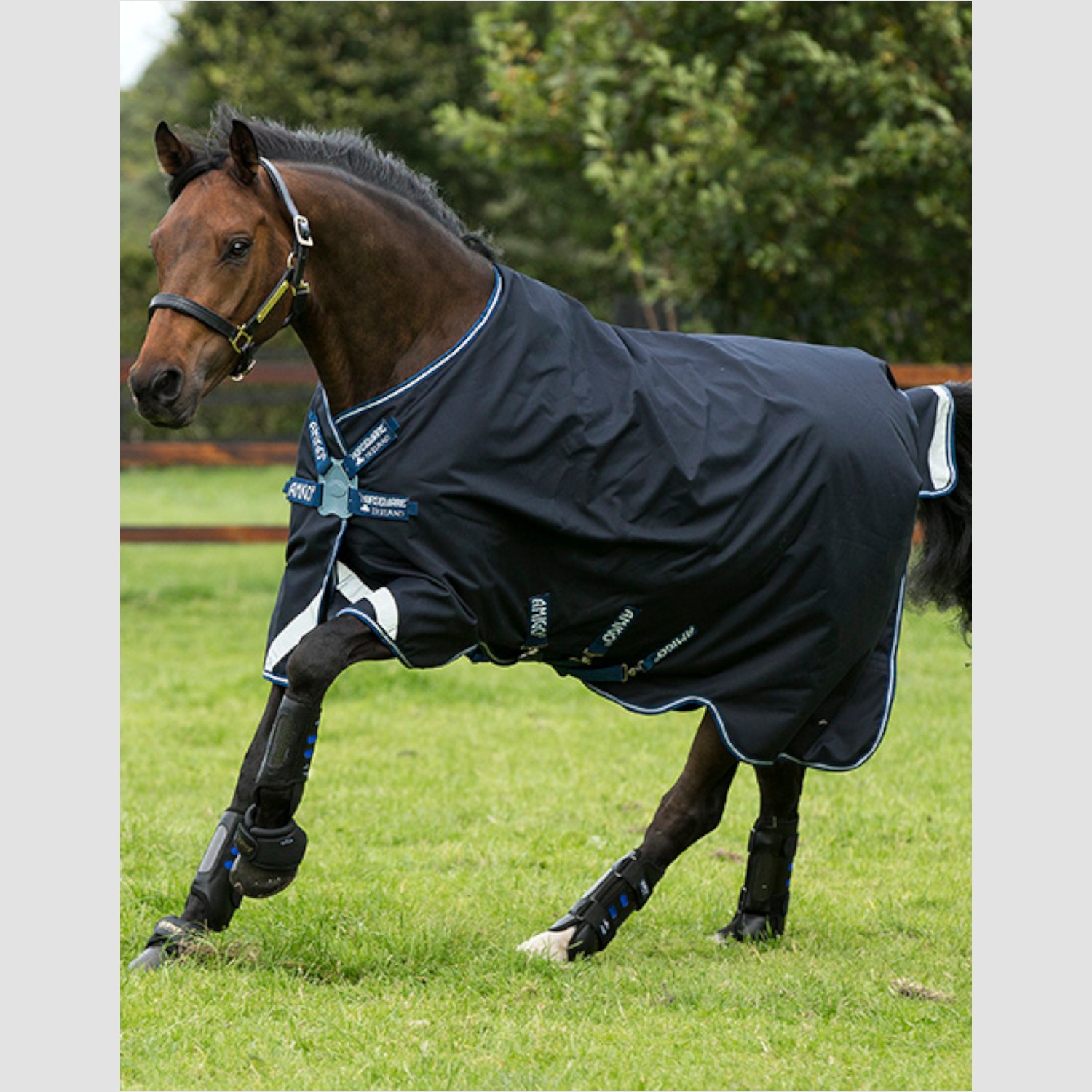 Horseware Amigo Bravo 12 Original Disc Lite 0 g