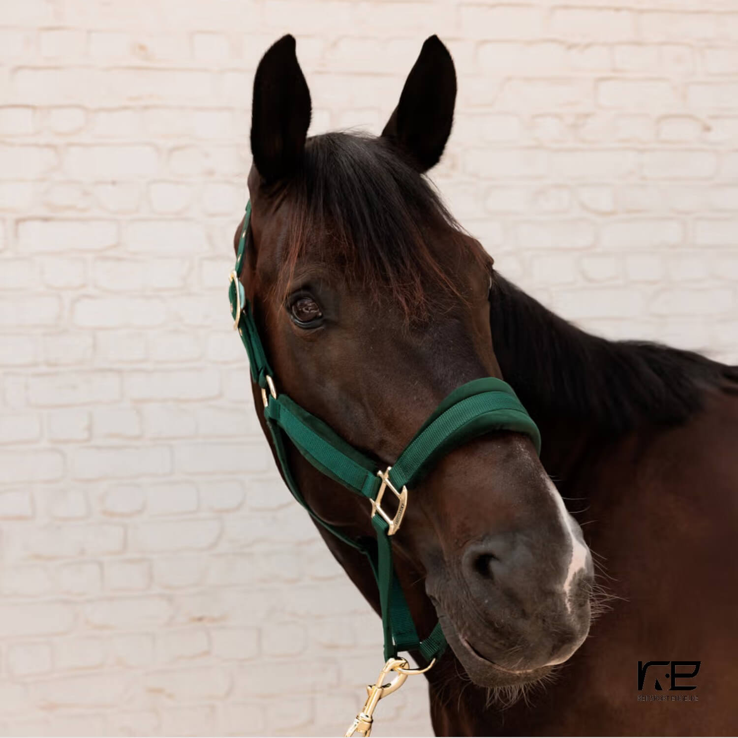 Kentucky Halfter Velvet